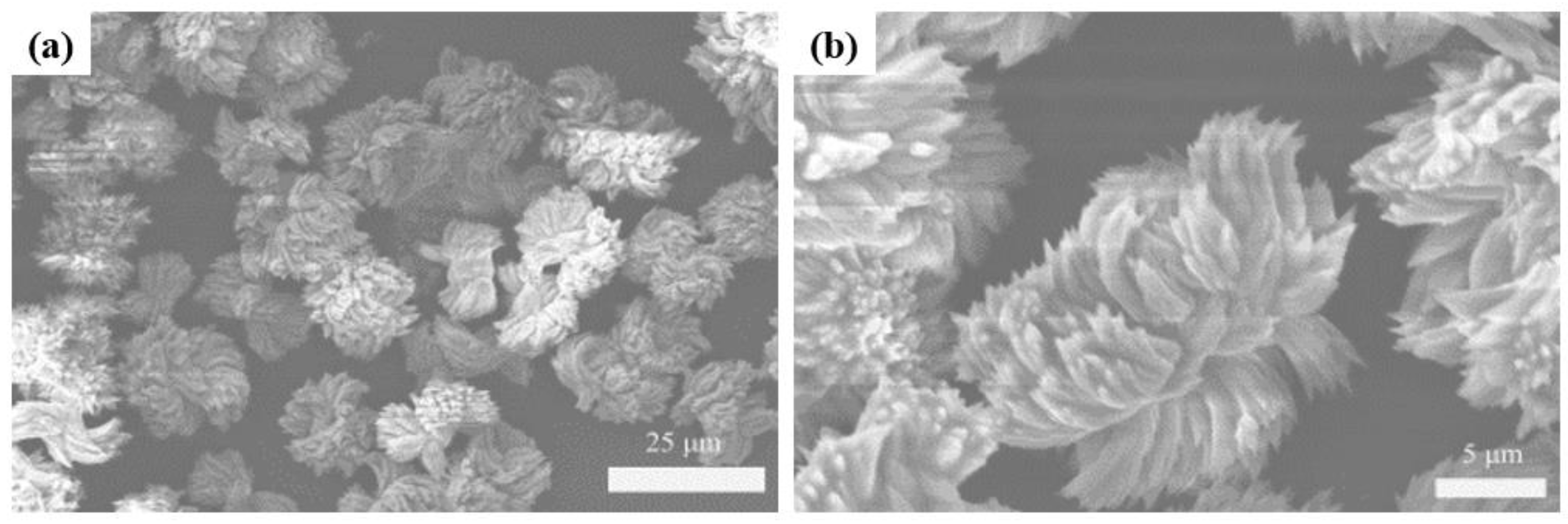 Polymers 11 02015 g002