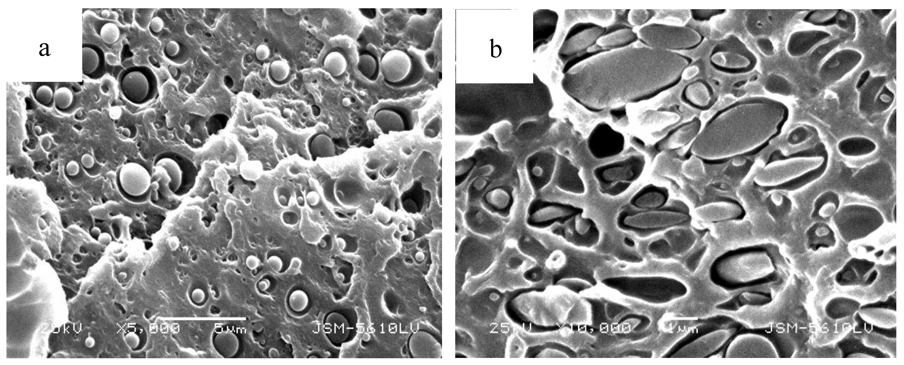 Polymers 11 02016 g007 550