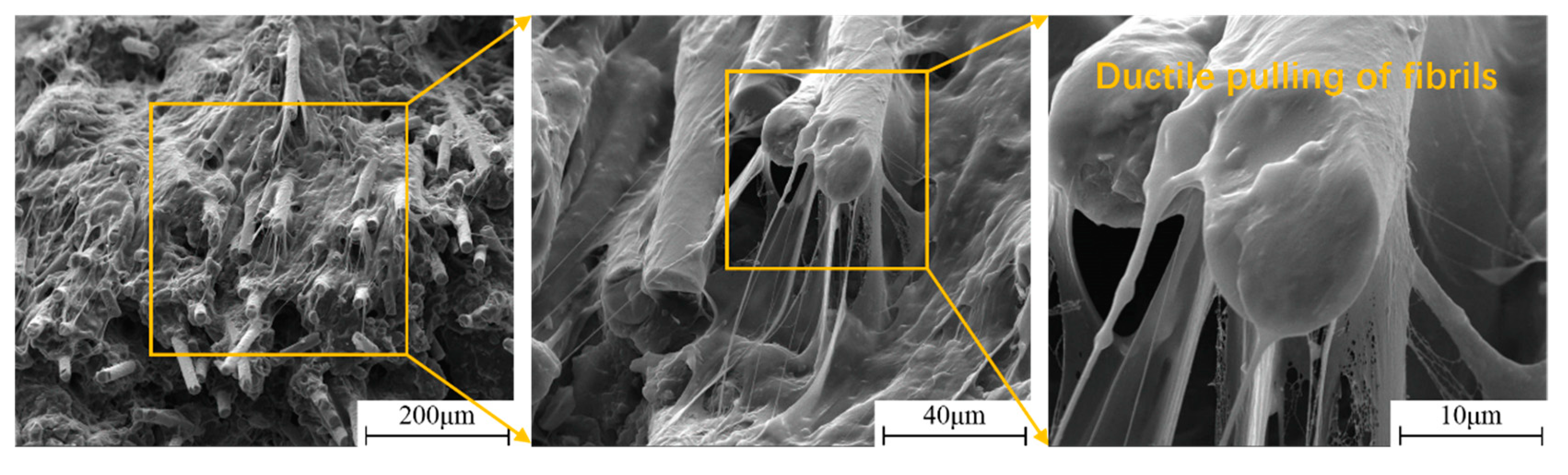Polymers 11 02019 g015 Polymers 11 02019 g015