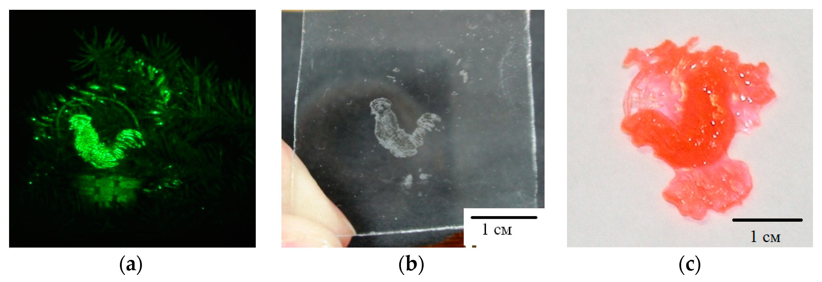 Polymers 11 02020 g011 Polymers 11 02020 g011