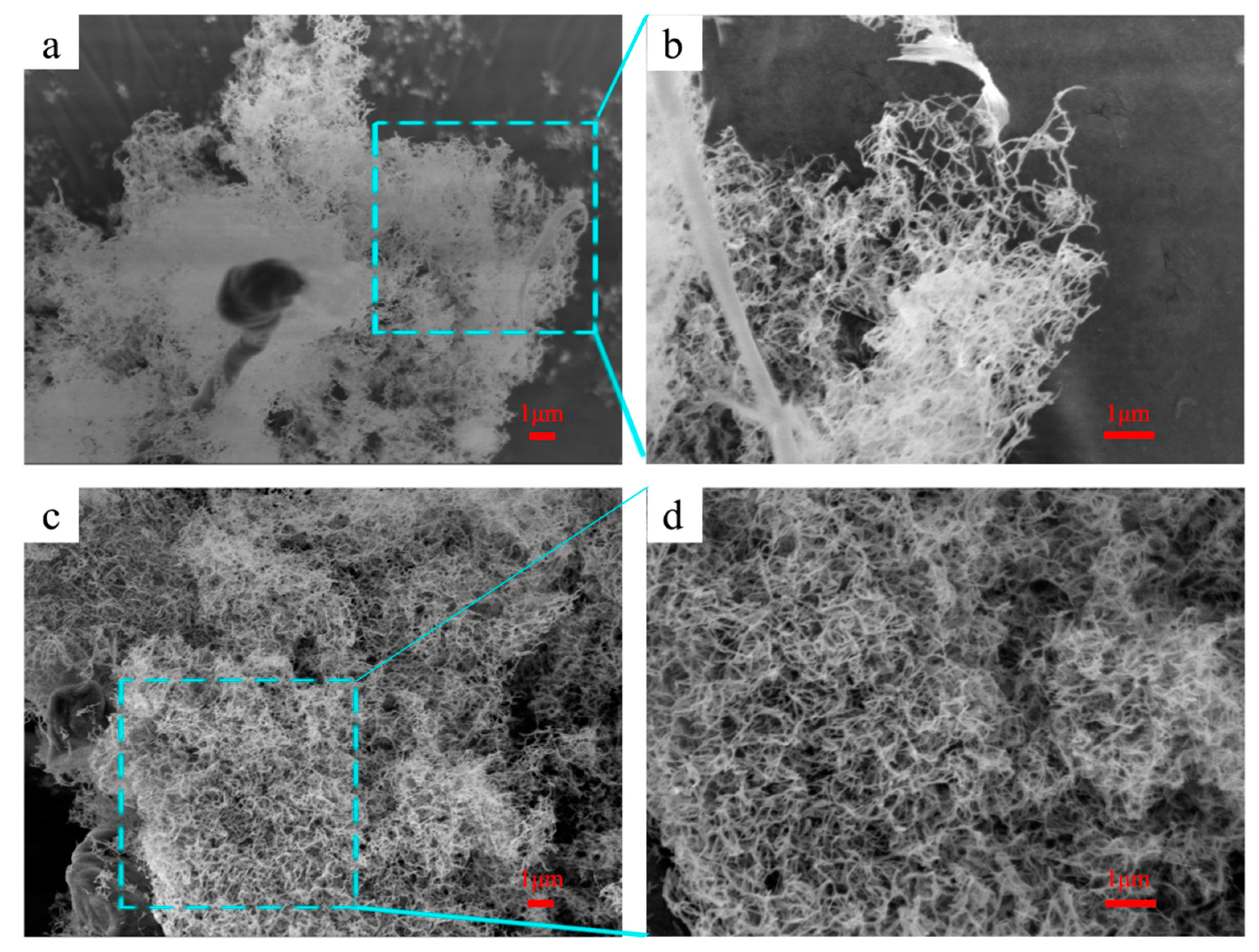Polymers 11 02021 g006 Polymers 11 02021 g006