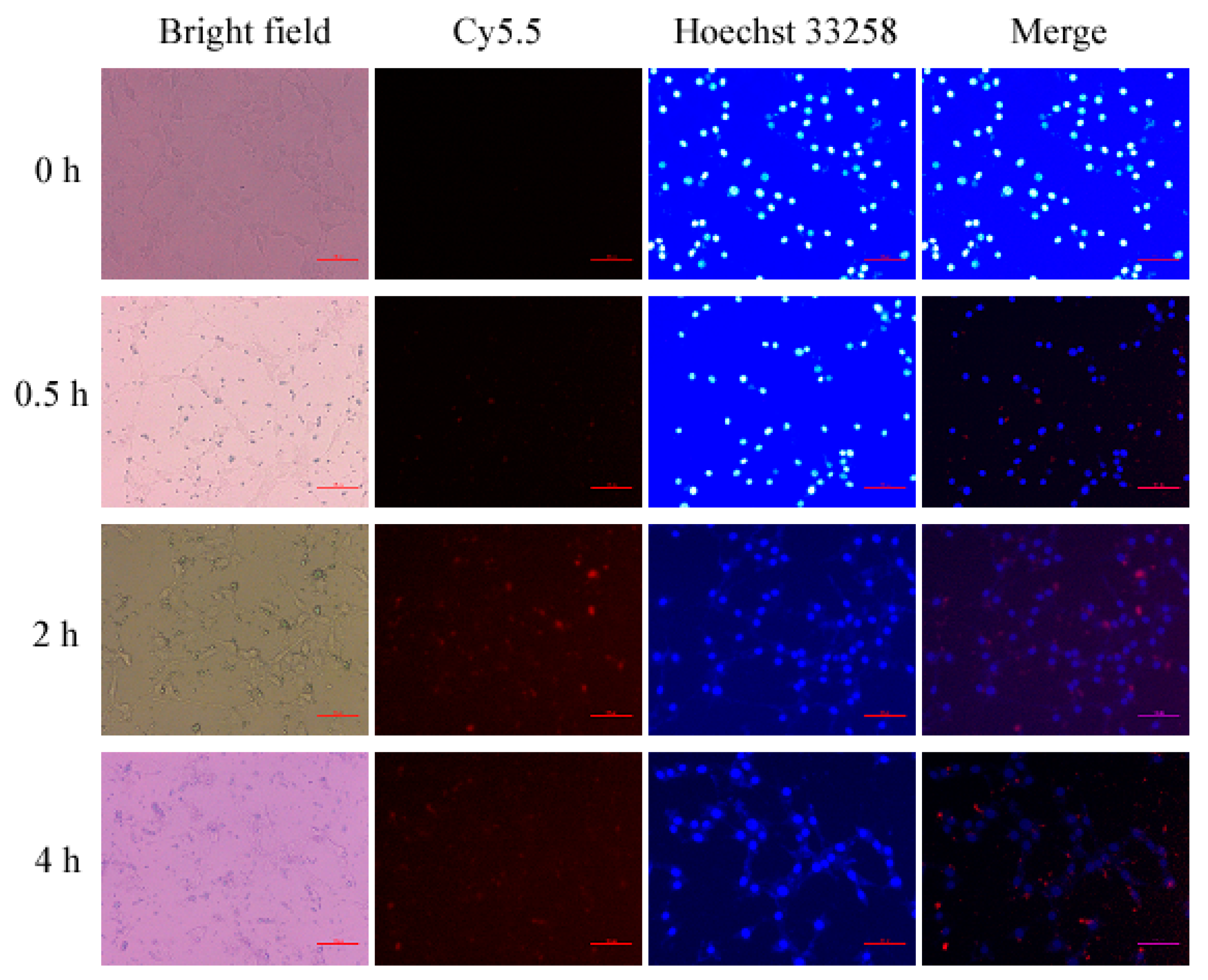 Polymers 11 02026 g008 Polymers 11 02026 g008