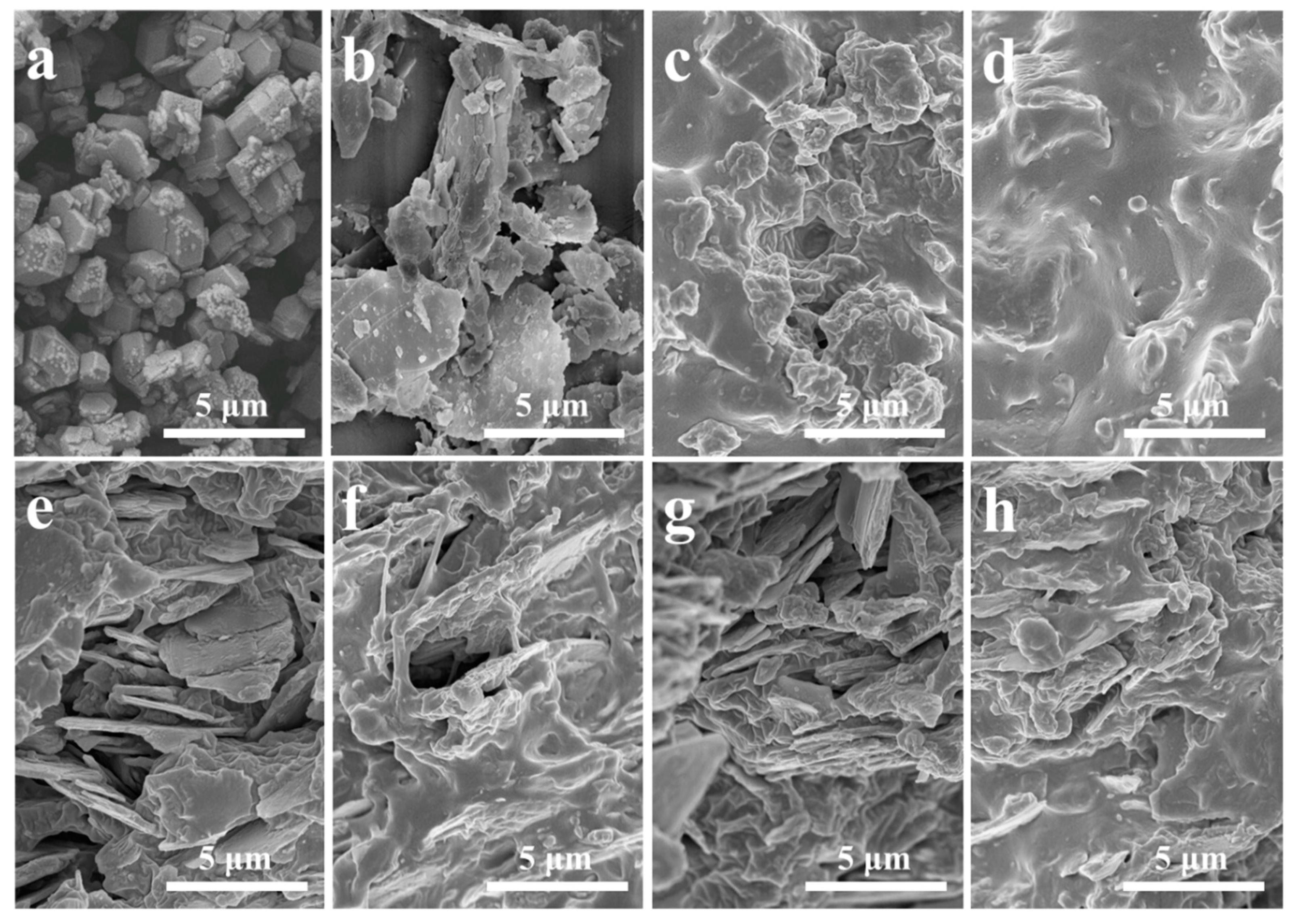 Polymers 11 02030 g002 Polymers 11 02030 g002