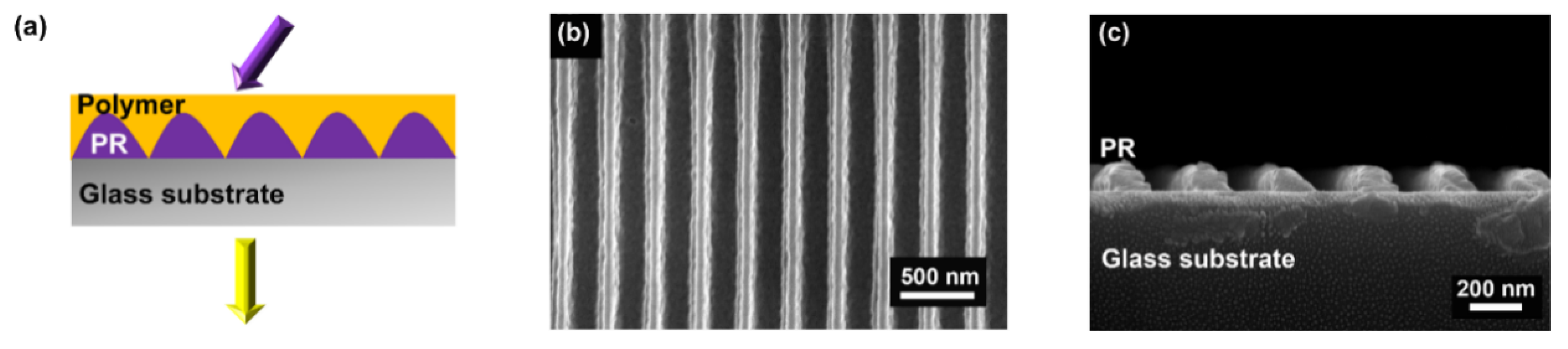 Polymers 11 02031 g001 Polymers 11 02031 g001
