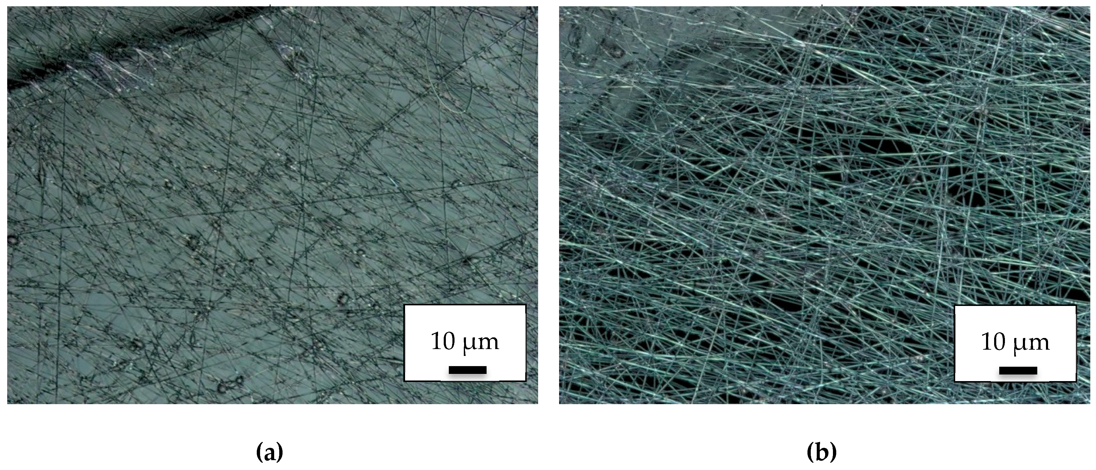 Polymers 11 02034 g004 Polymers 11 02034 g004
