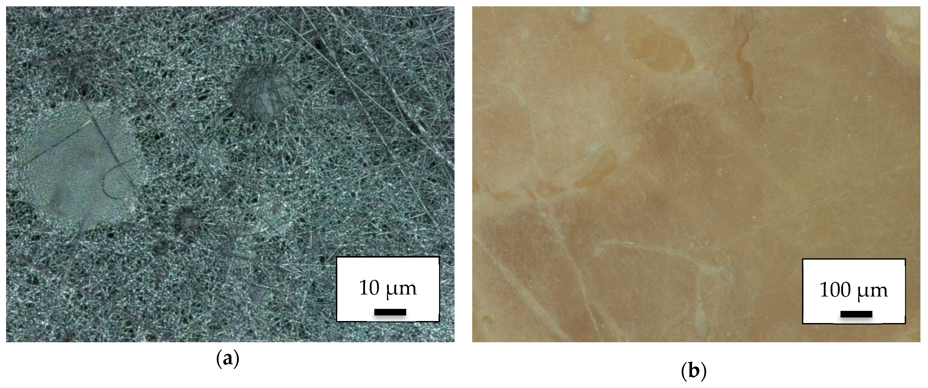 Polymers 11 02034 g005 Polymers 11 02034 g005