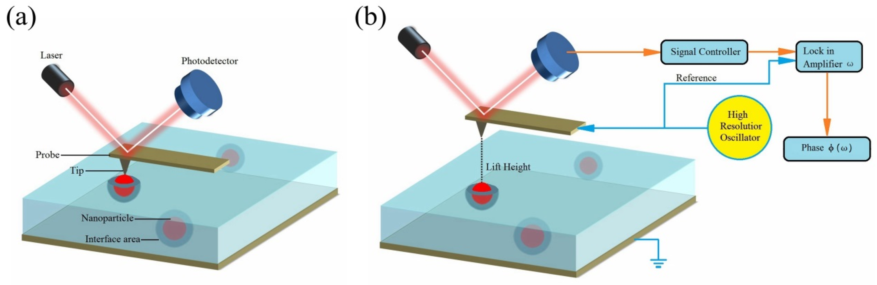 Polymers 11 02035 g001
