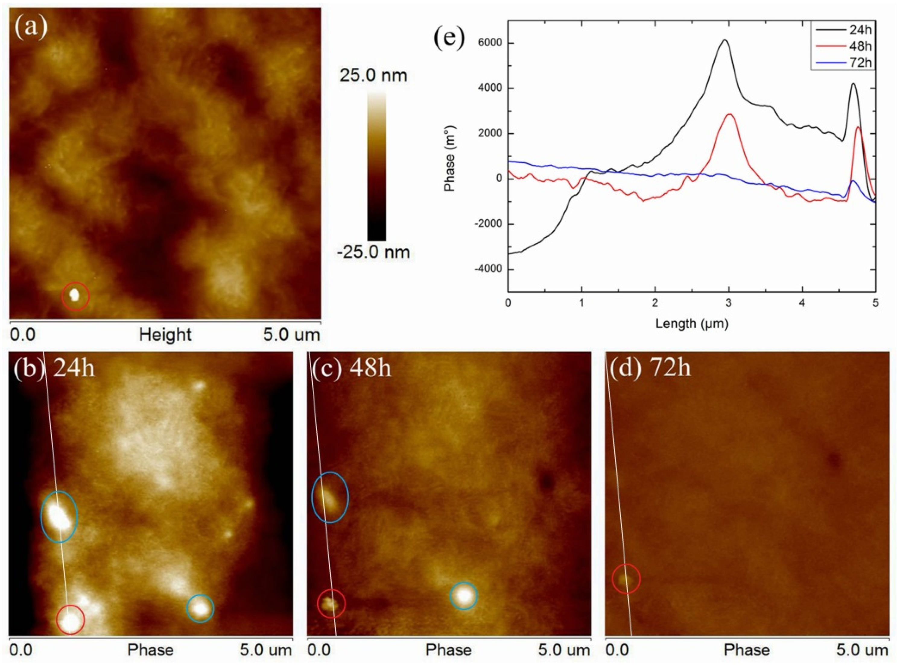 Polymers 11 02035 g003