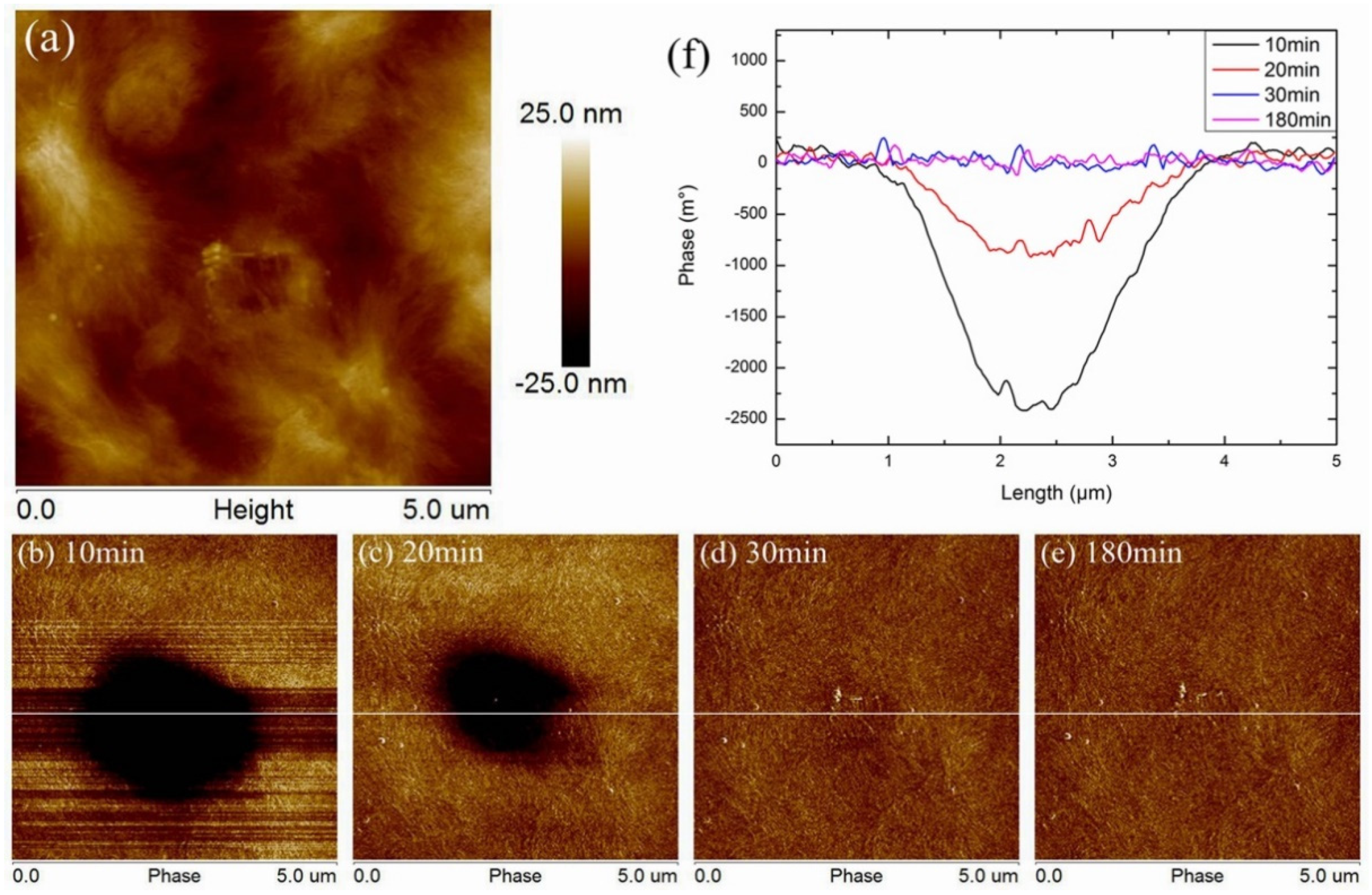 Polymers 11 02035 g004