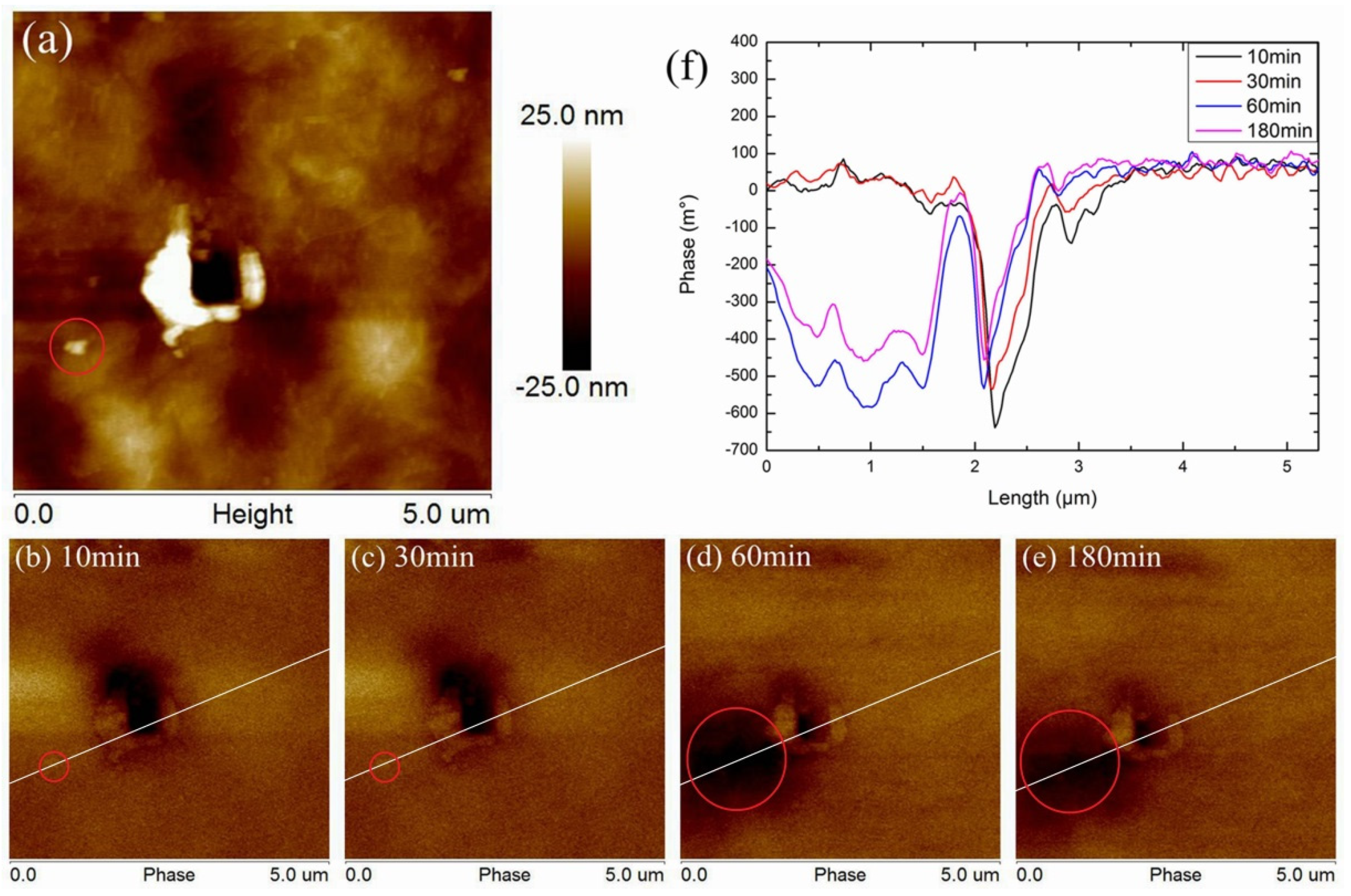Polymers 11 02035 g005