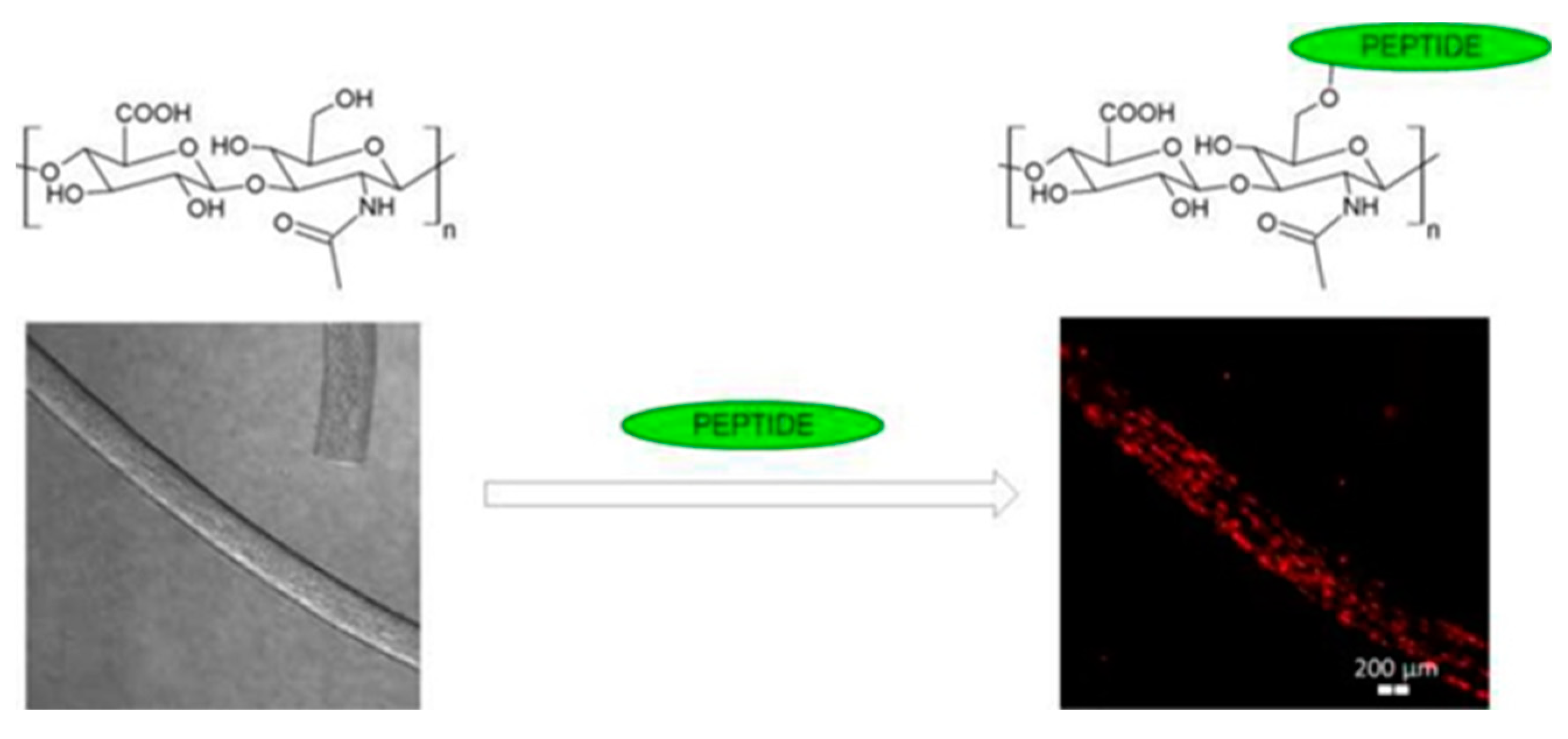 Polymers 11 02036 g007 Polymers 11 02036 g007