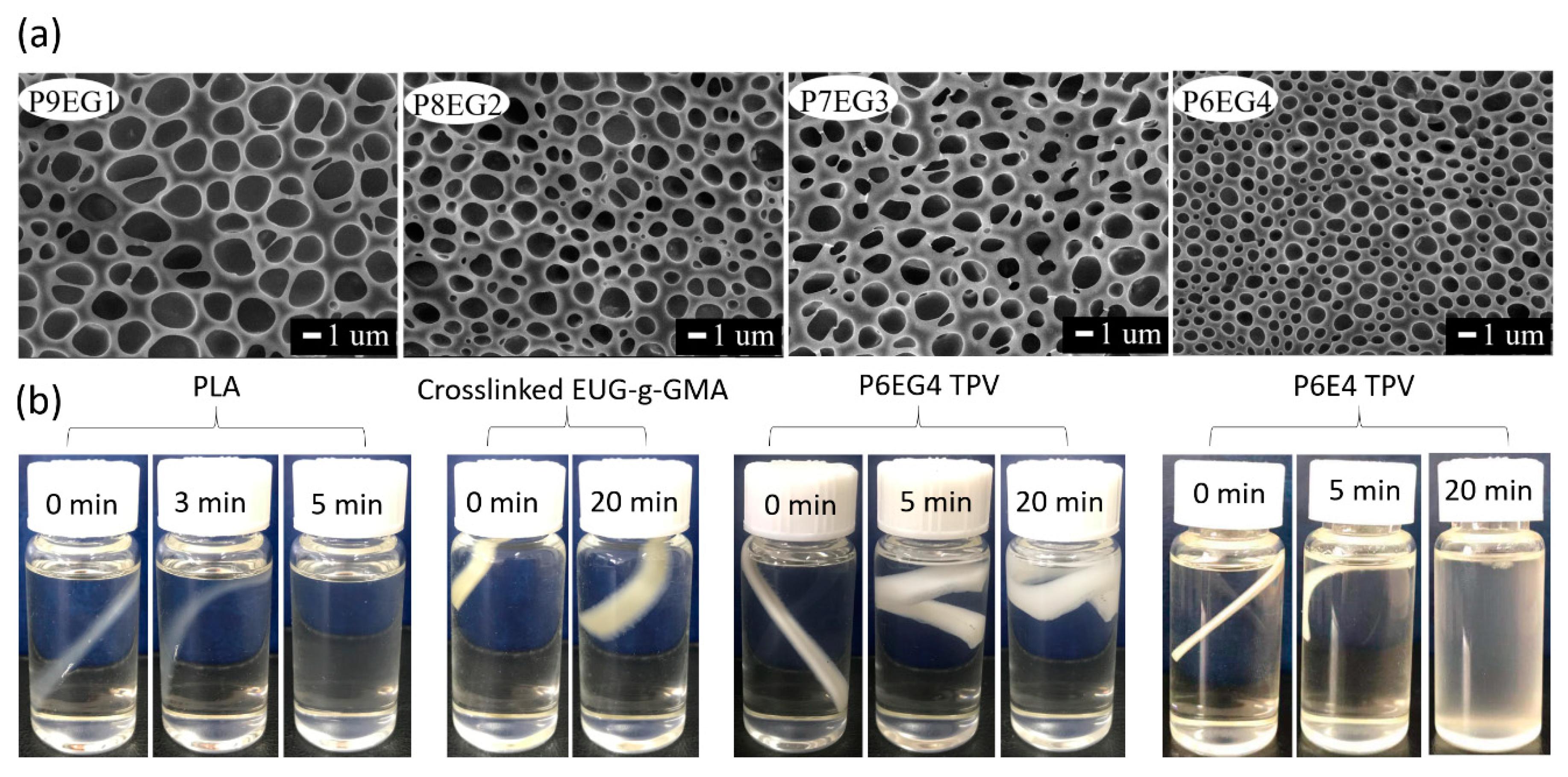Polymers 11 02040 g003 Polymers 11 02040 g003