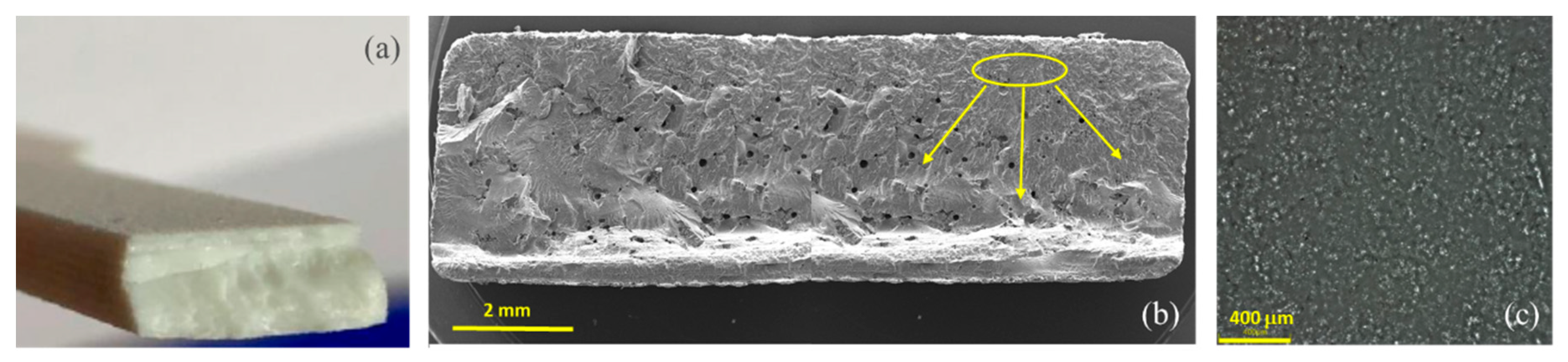Polymers 11 02041 g007