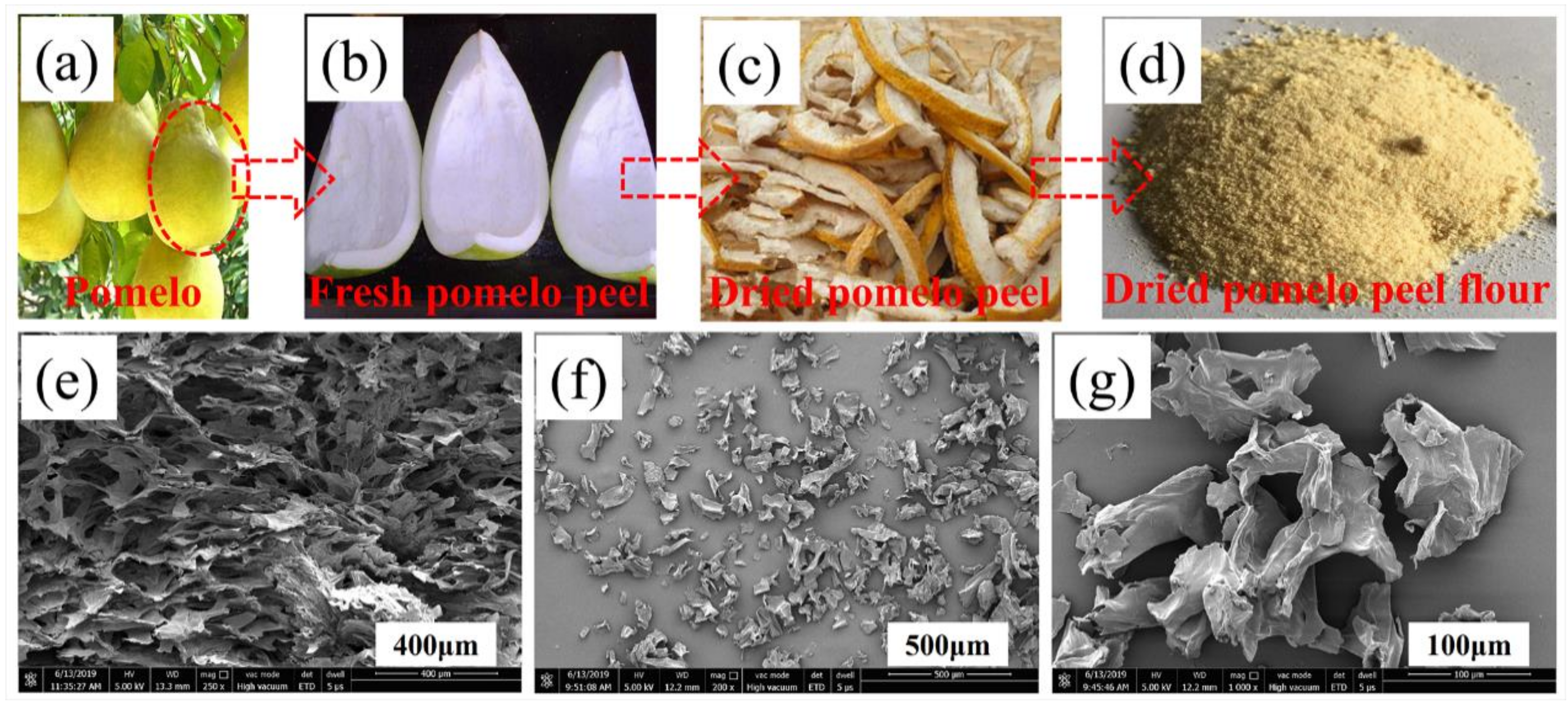 Polymers 11 02043 g001