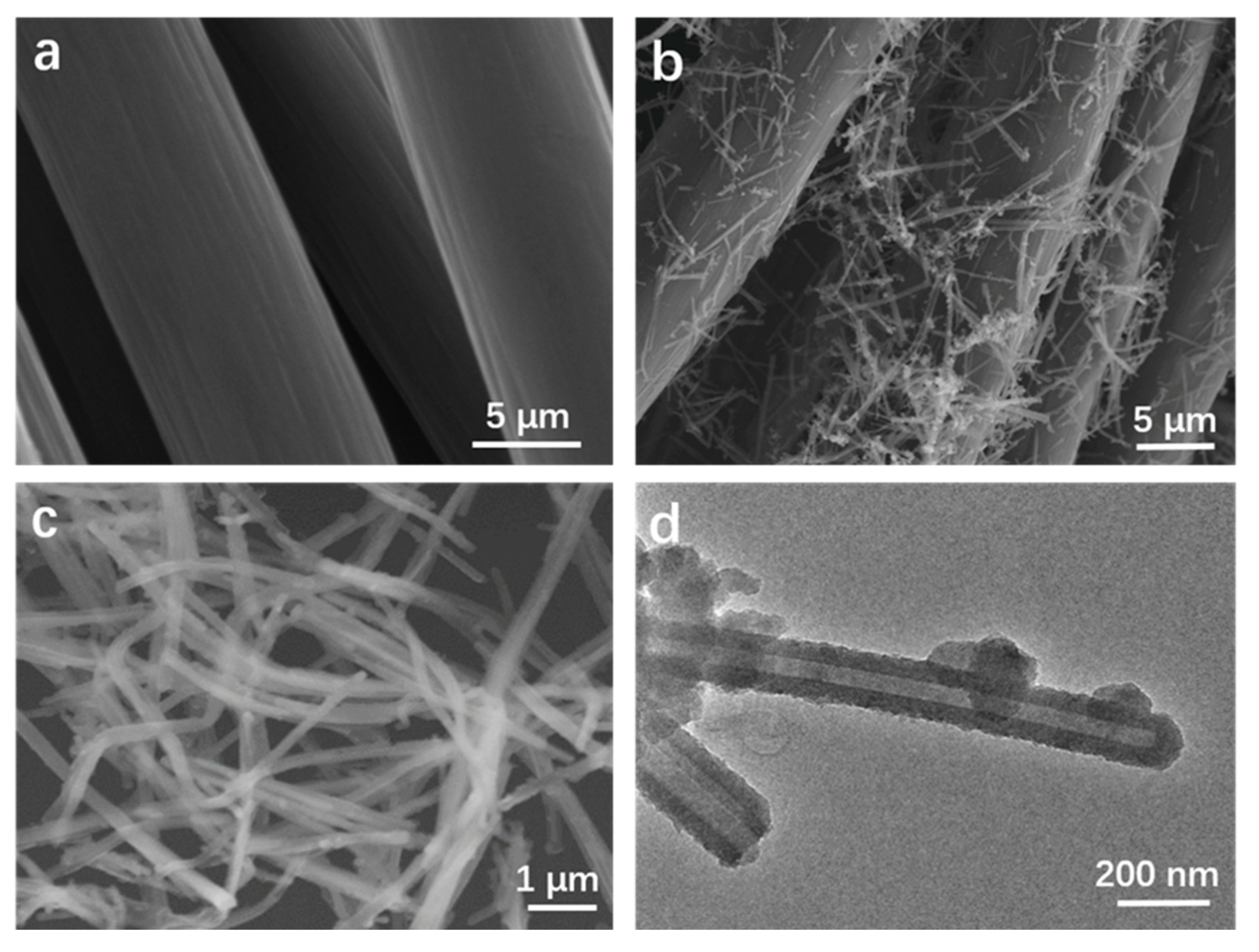 Polymers 11 02053 g002 Polymers 11 02053 g002