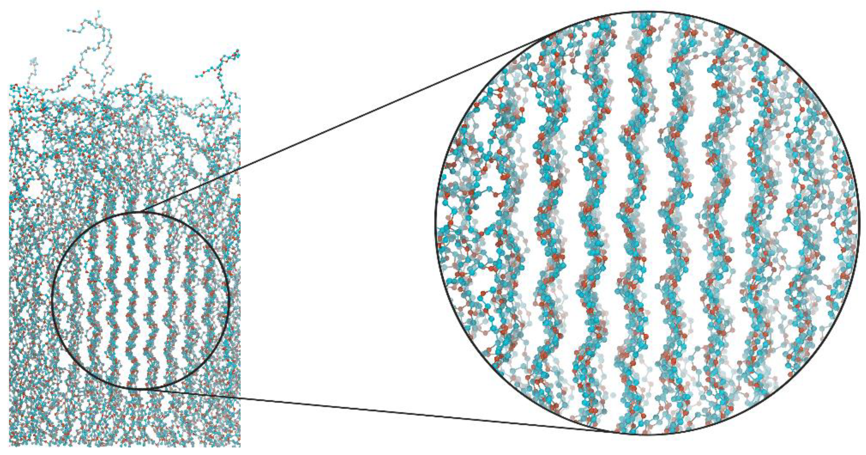 Polymers 11 02056 g006