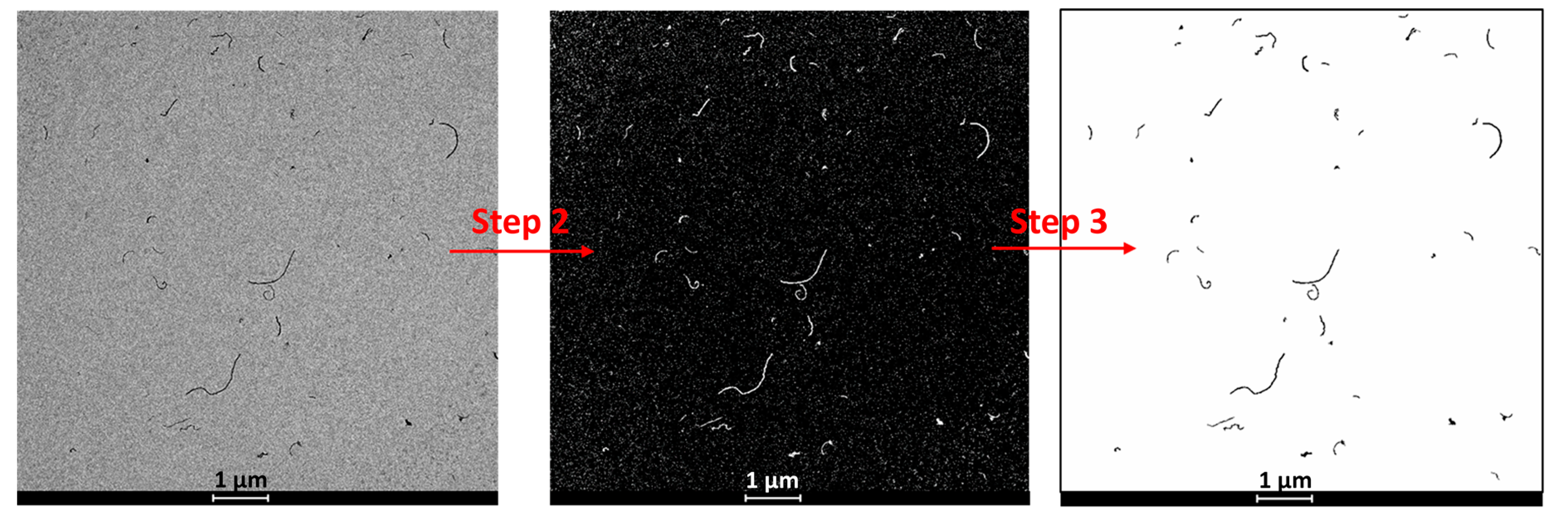 Polymers 11 02059 g002 Polymers 11 02059 g002