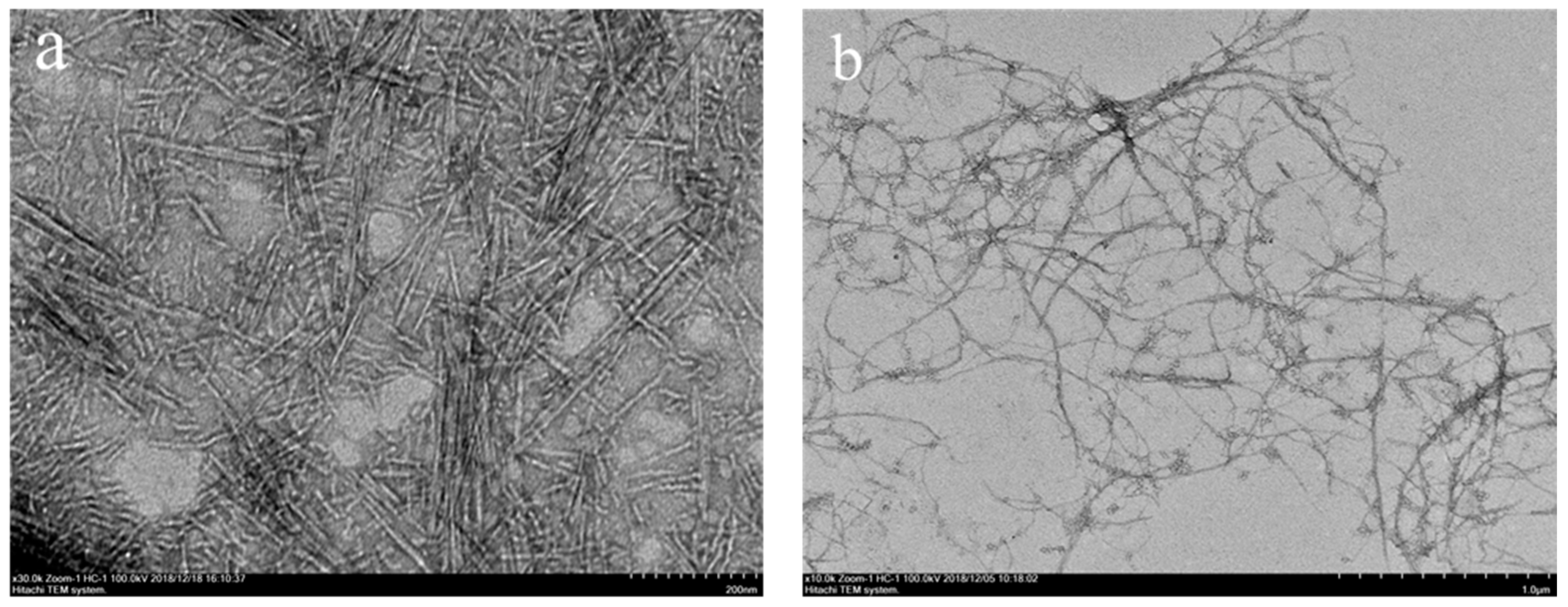 Polymers 11 02063 g001 Polymers 11 02063 g001