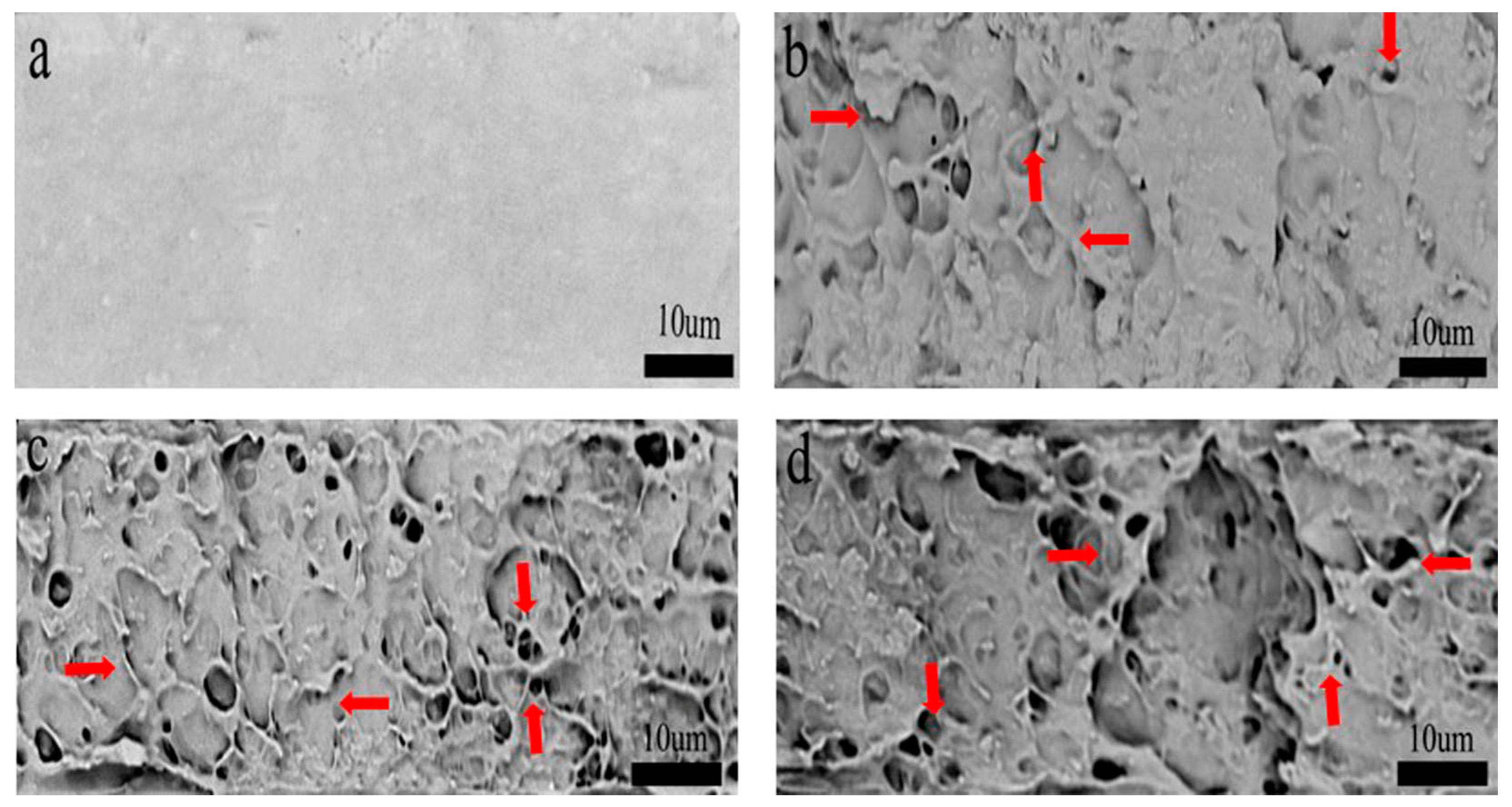 Polymers 11 02063 g007 Polymers 11 02063 g007