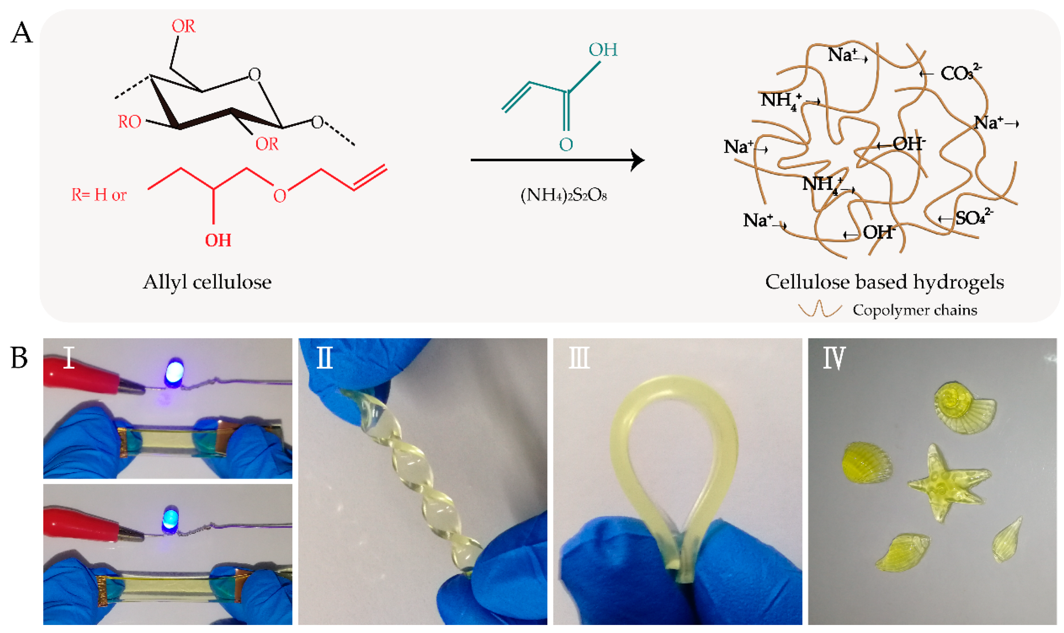 Polymers 11 02067 g001