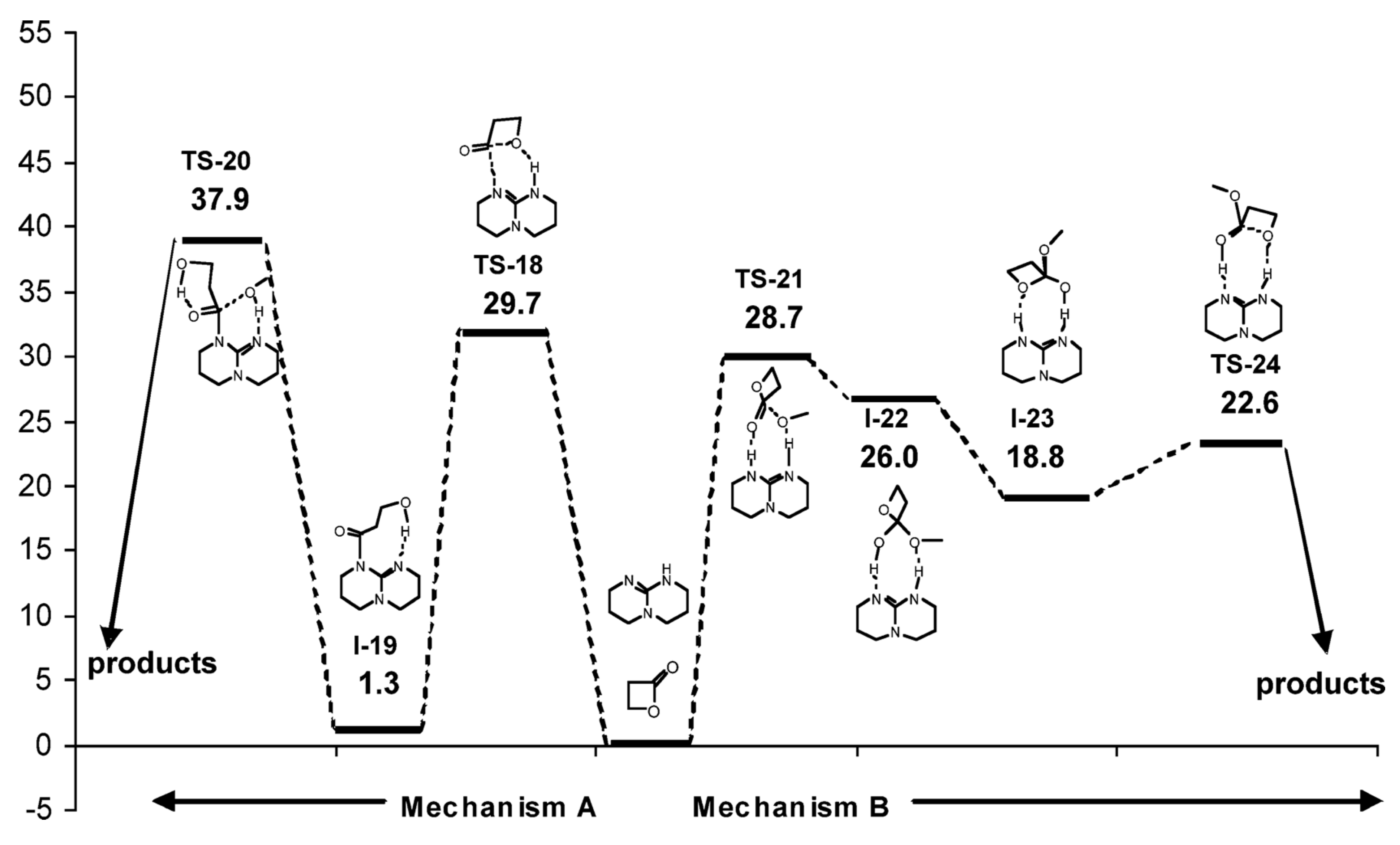 Polymers Free Full Text Dft Modeling Of Organocatalytic Ring Opening Polymerization Of Cyclic Esters A Crucial Role Of Proton Exchange And Hydrogen Bonding Html