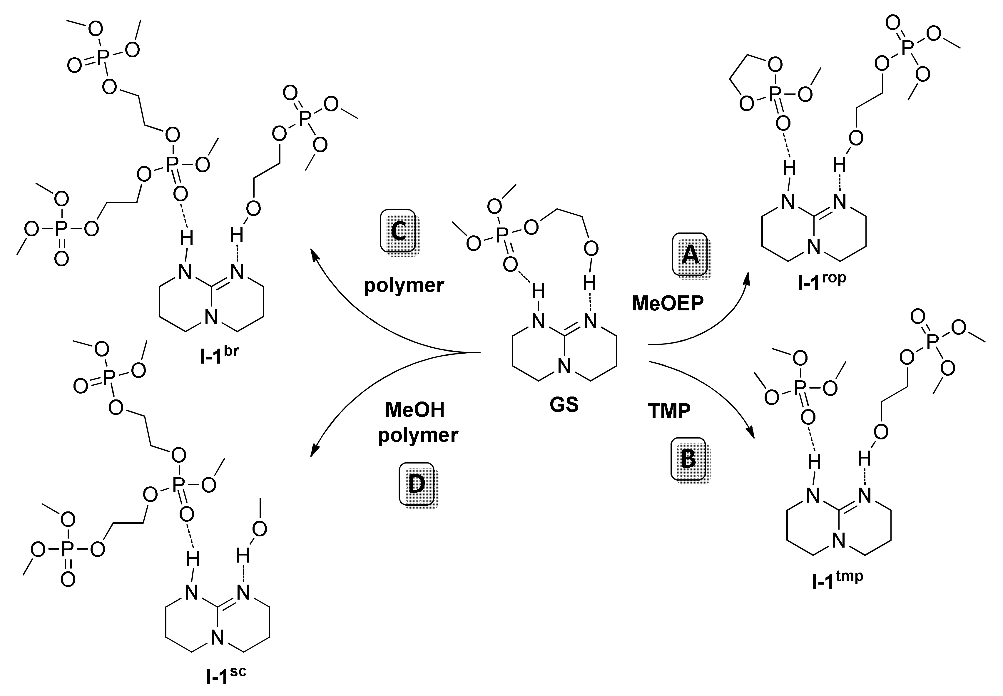 Polymers Free Full Text Dft Modeling Of Organocatalytic Ring Opening Polymerization Of Cyclic Esters A Crucial Role Of Proton Exchange And Hydrogen Bonding Html