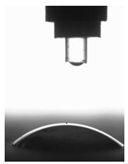 Polymers 11 02088 i001