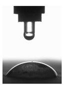 Polymers 11 02088 i006