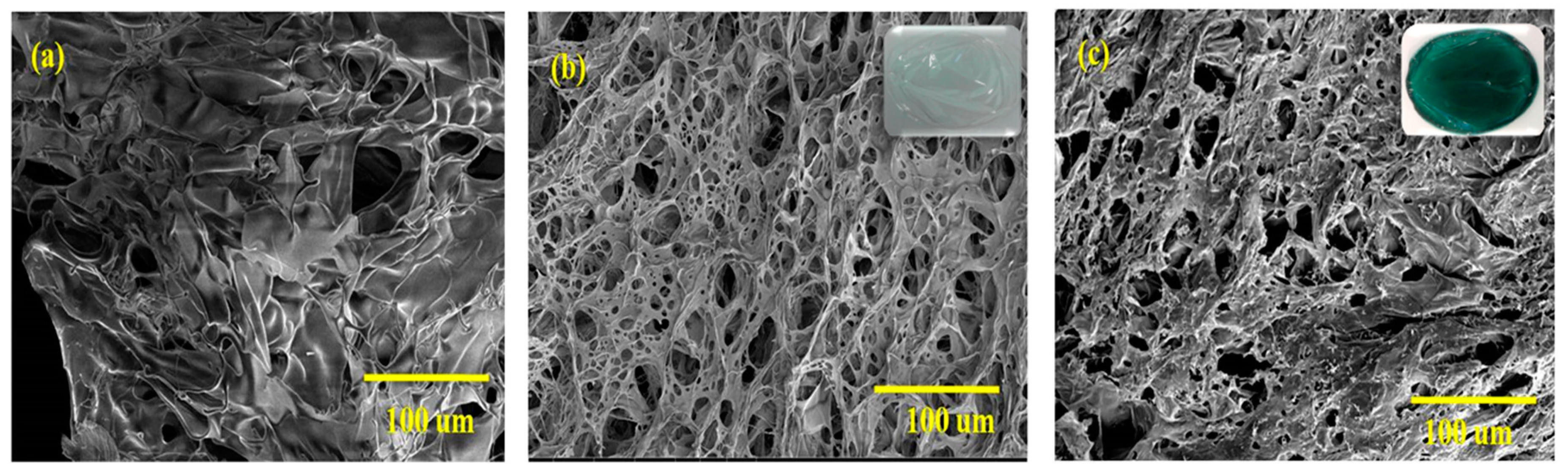 Polymers 11 02094 g003