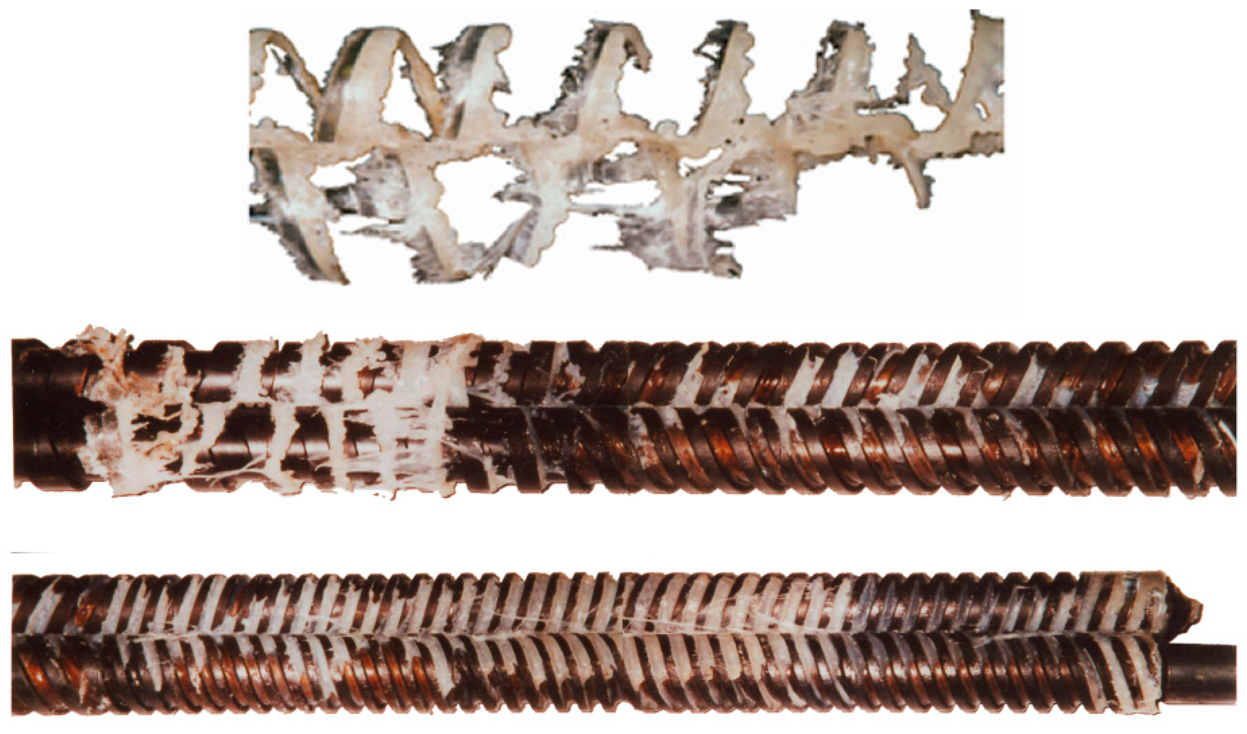 Polymers 11 02106 g003