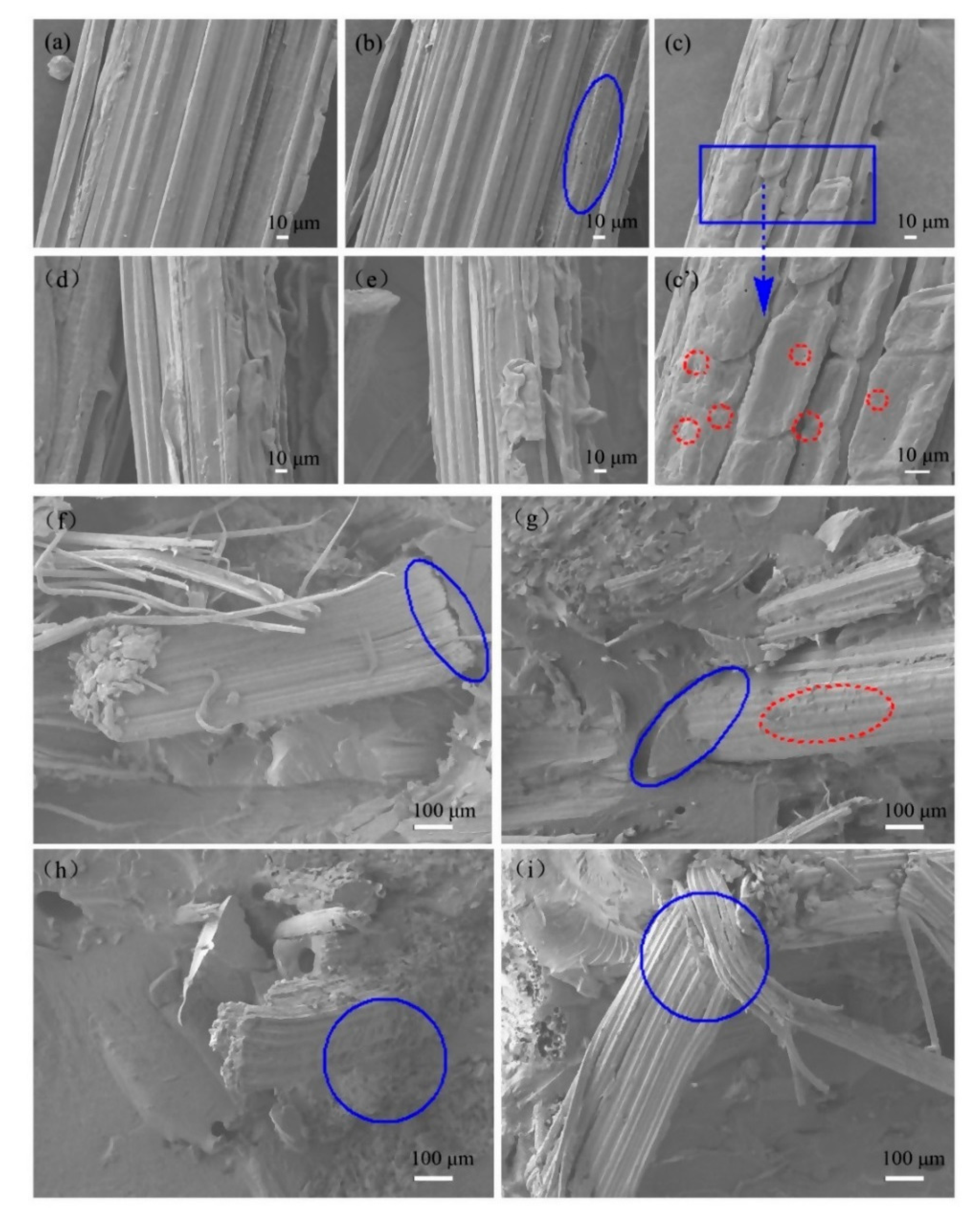 Polymers 11 02107 g004