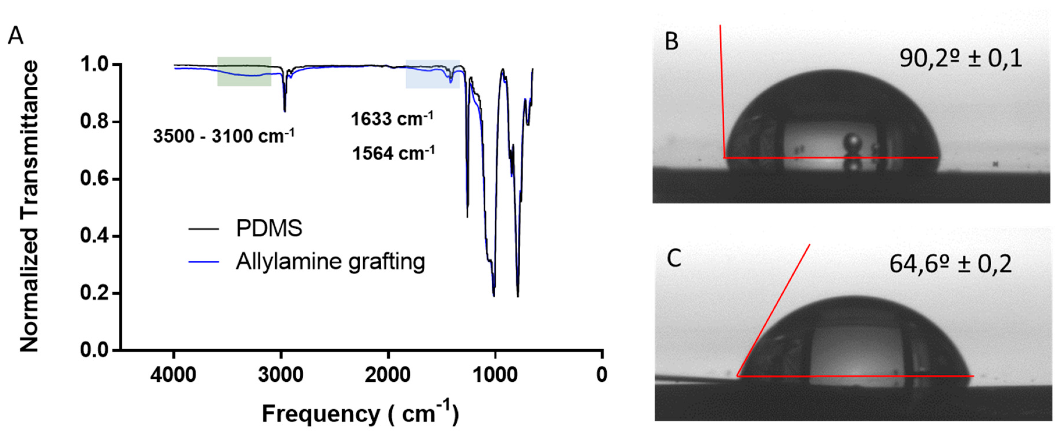 Polymers 11 02108 g002 Polymers 11 02108 g002