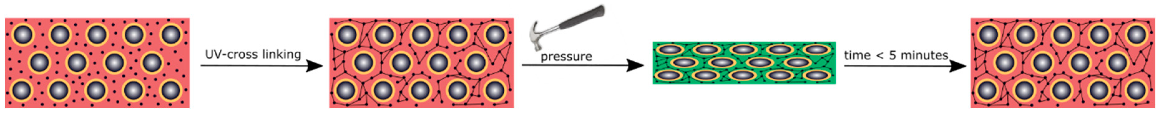 Polymers 11 02114 g008