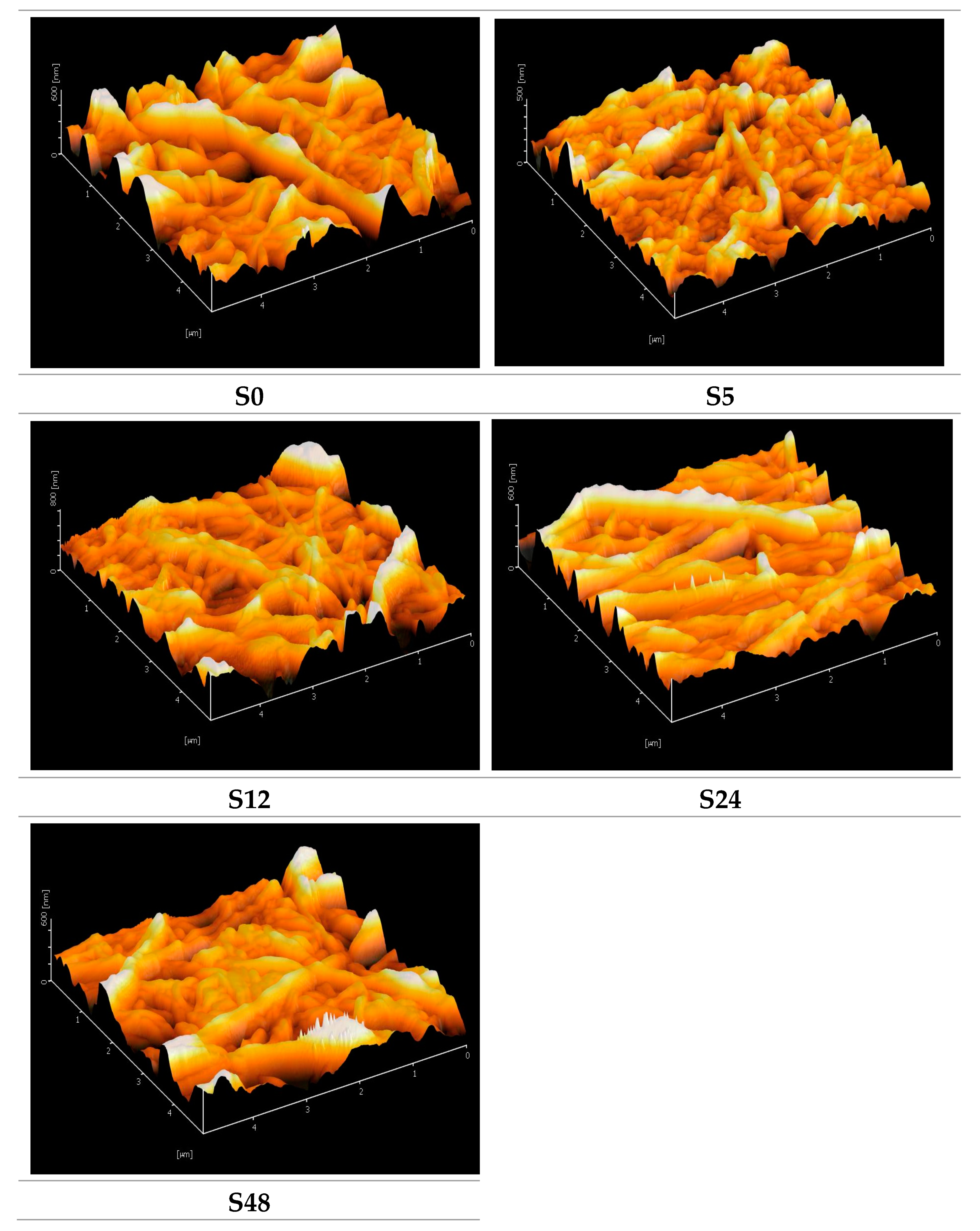 Polymers 11 02117 g003