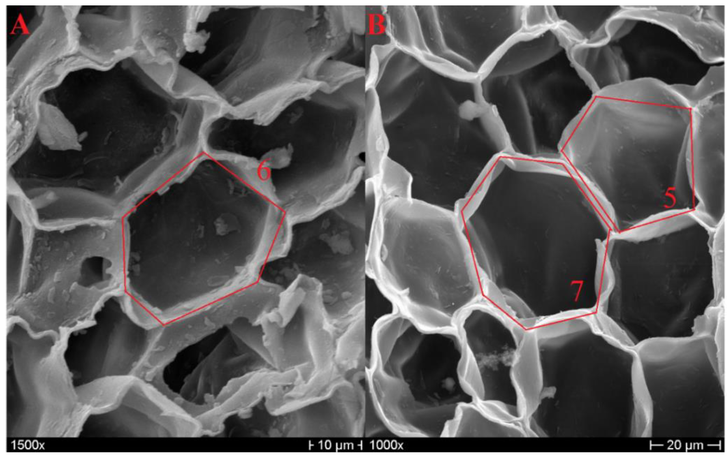 Polymers 11 02118 g003