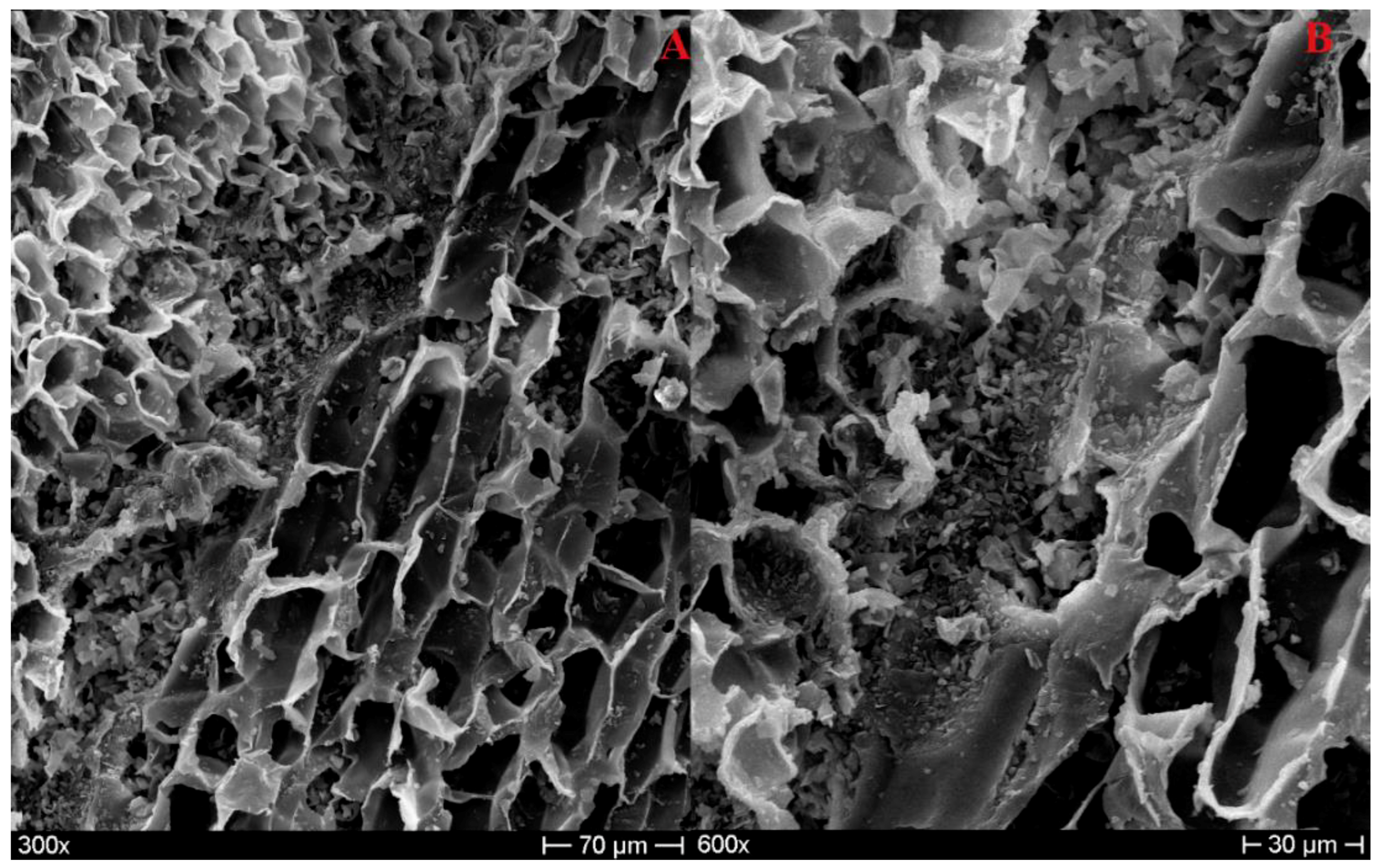 Polymers 11 02118 g005