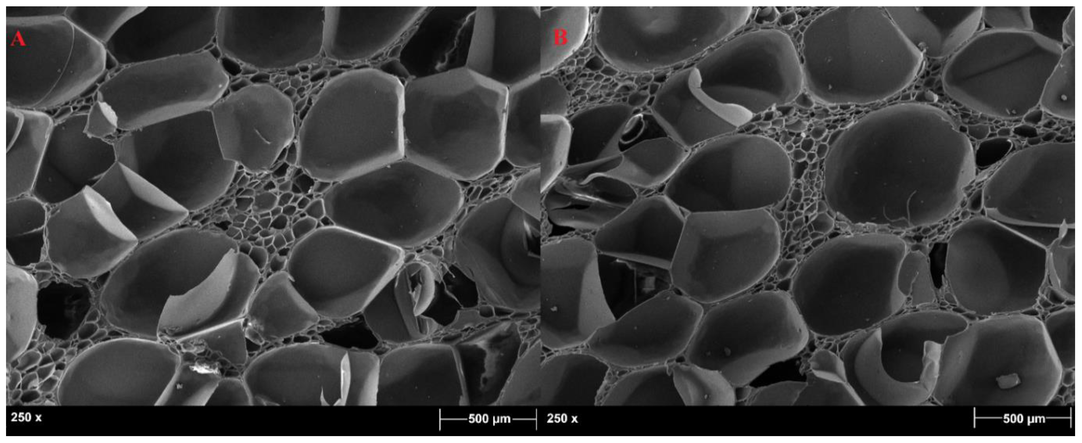Polymers 11 02118 g007