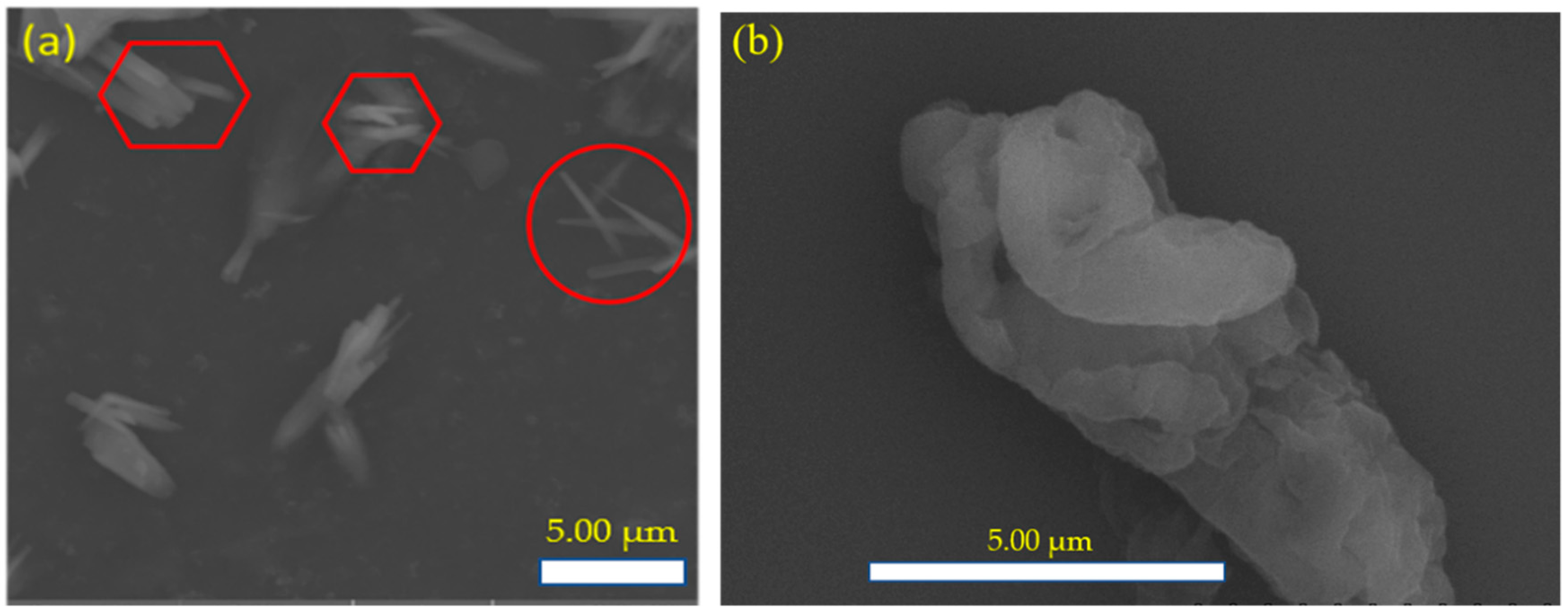 Polymers 11 02119 g001 Polymers 11 02119 g001