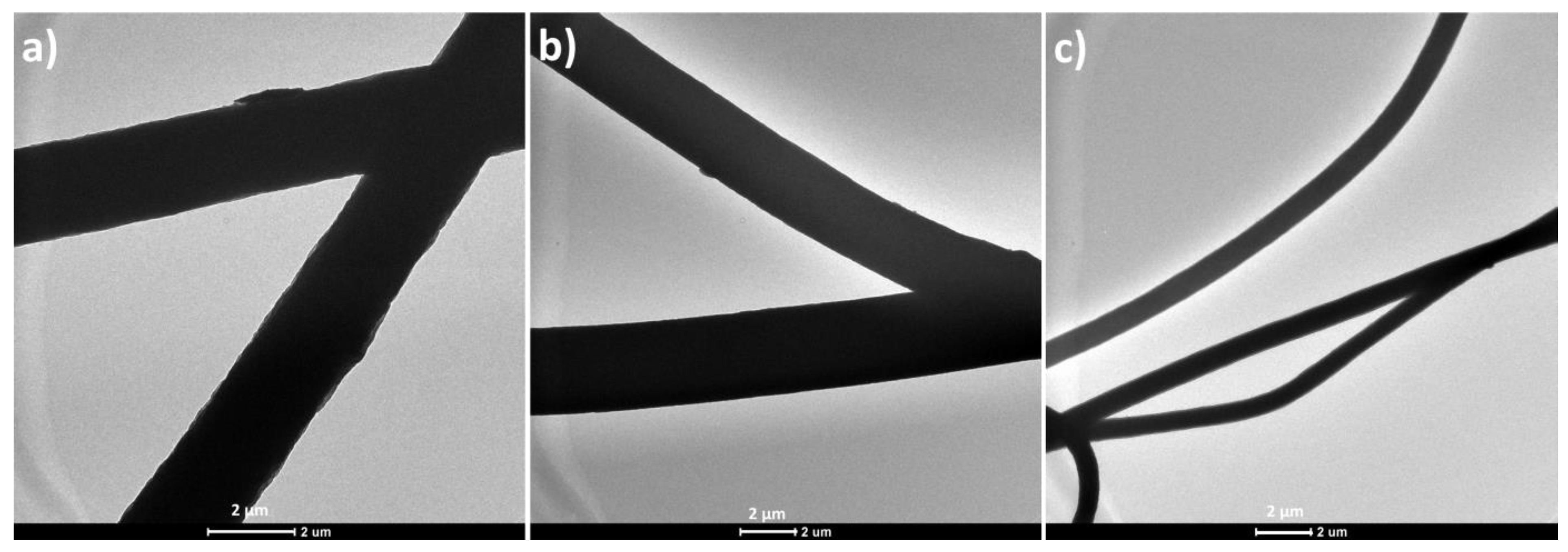 Polymers 12 00004 g004