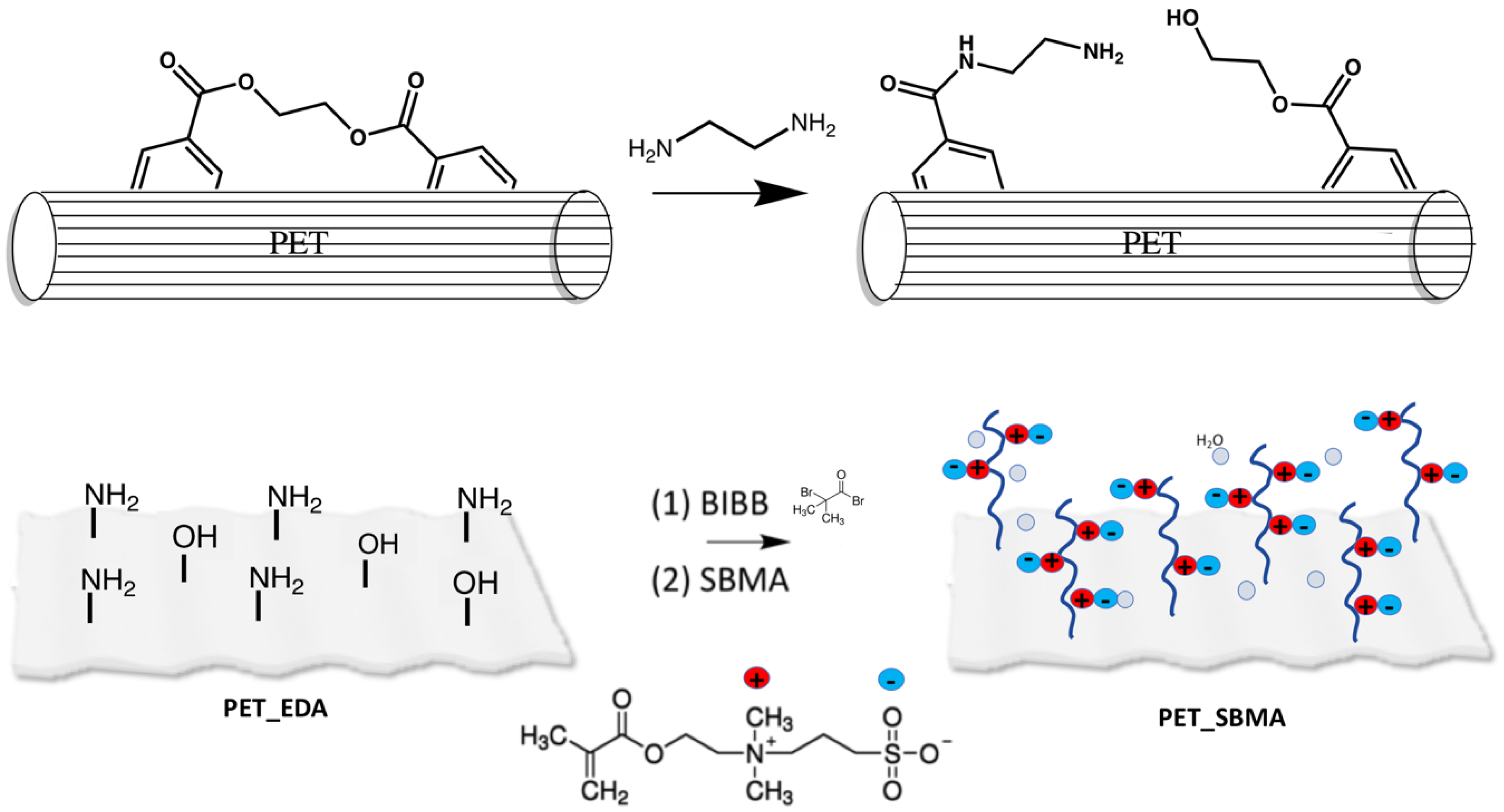 Polymers 12 00006 g001