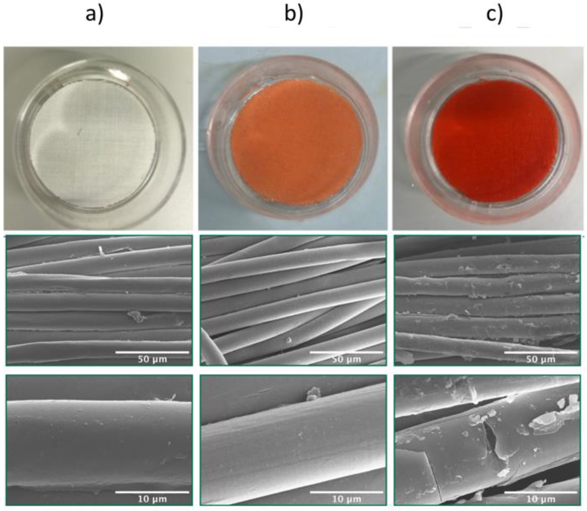 Polymers 12 00006 g002