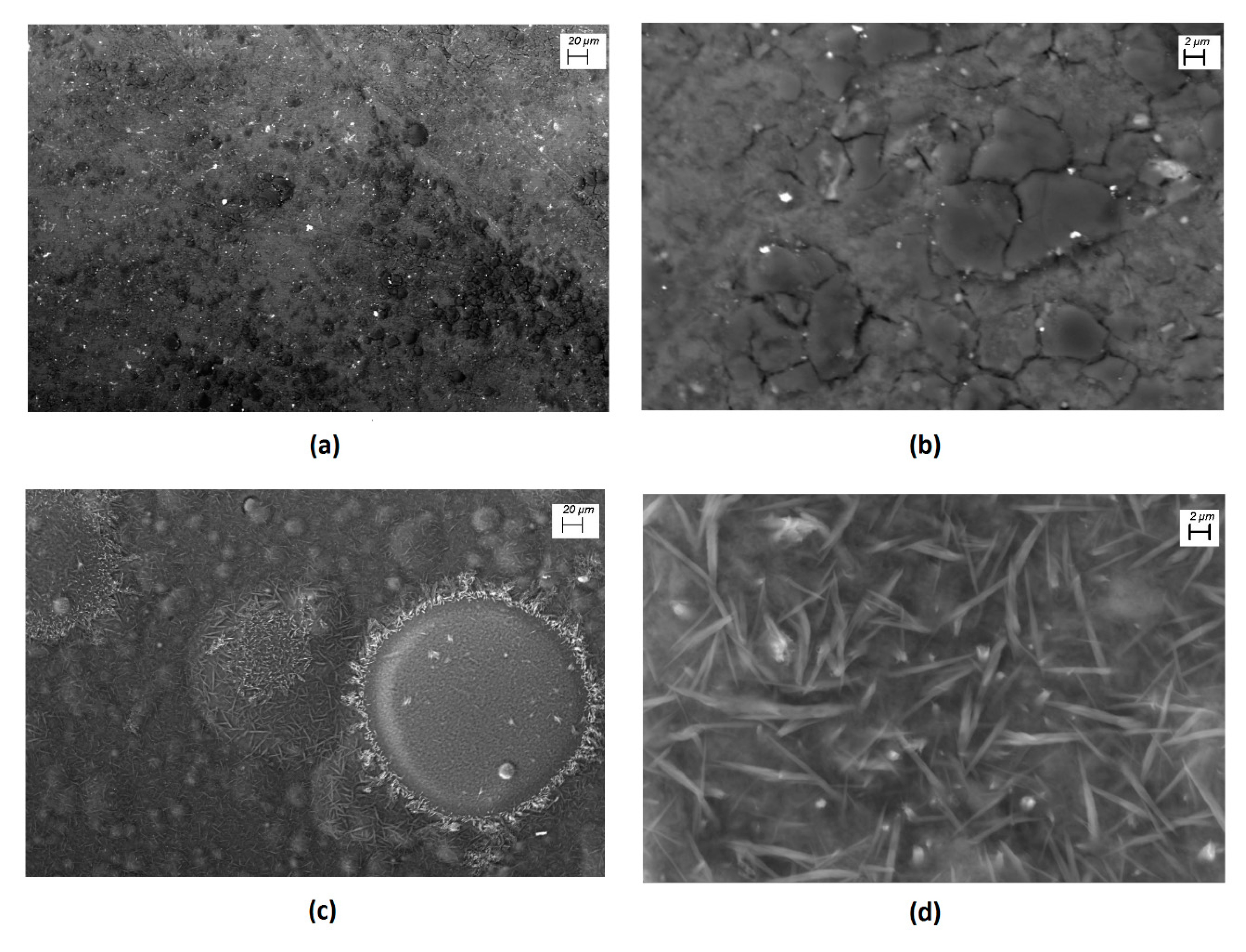 Polymers 12 00009 g003 Polymers 12 00009 g003