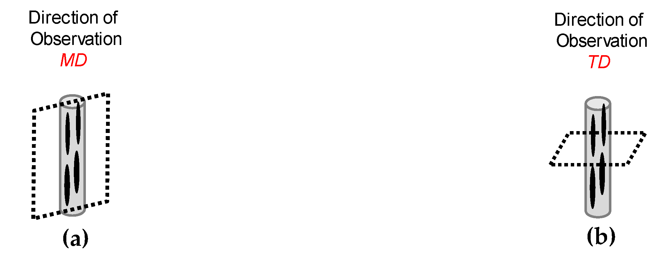 Polymers 12 00010 g004