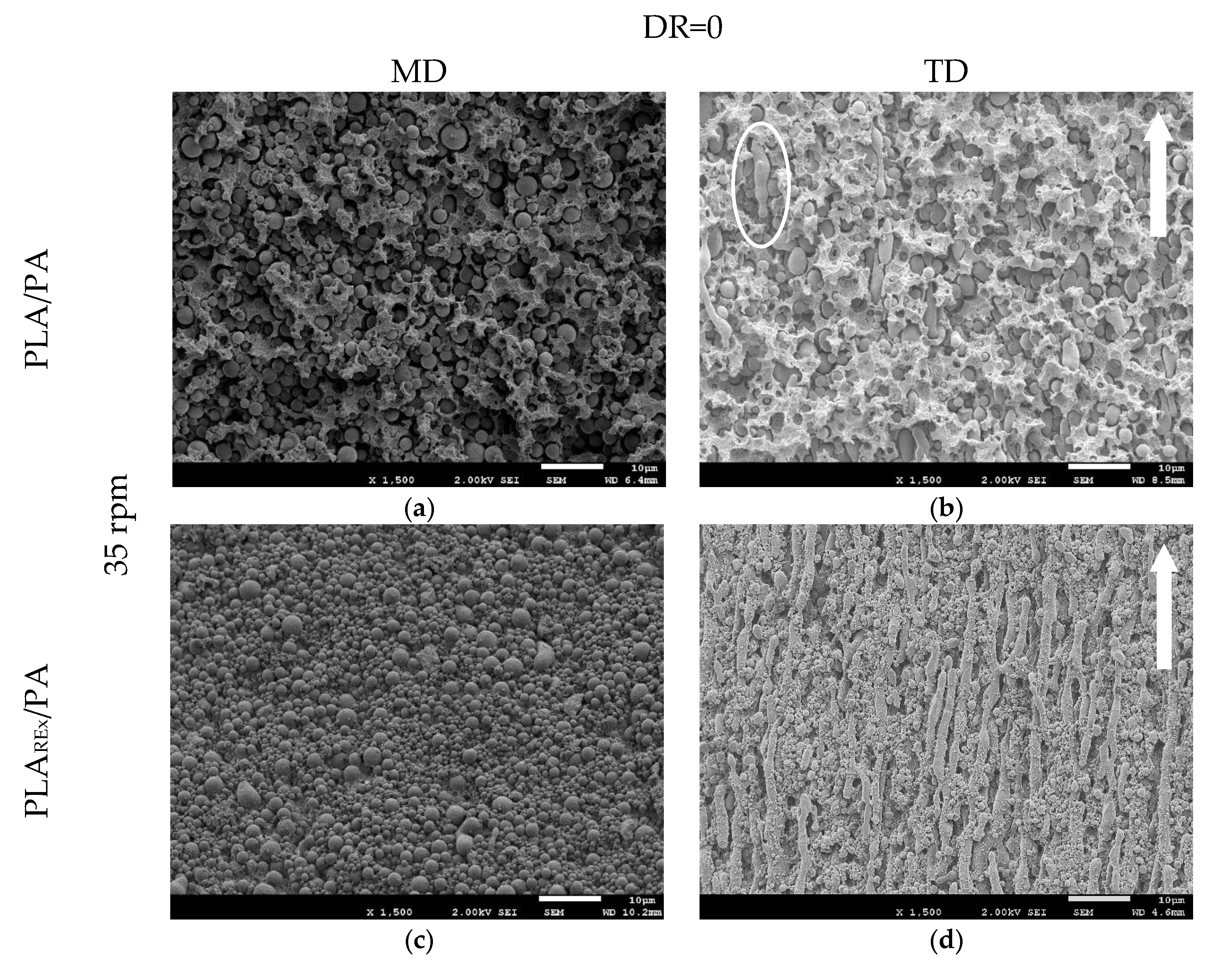 Polymers 12 00010 g010
