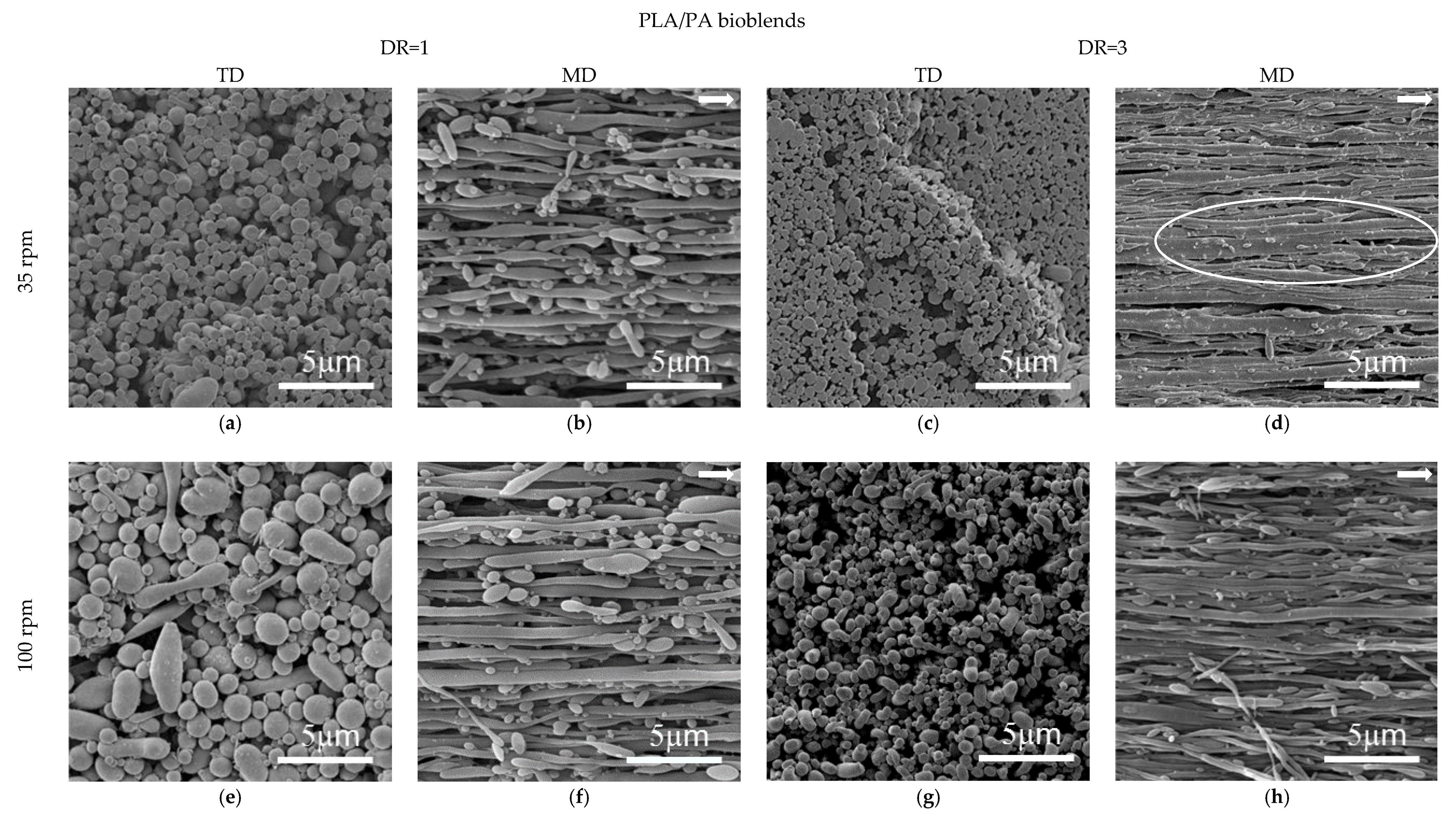 Polymers 12 00010 g011