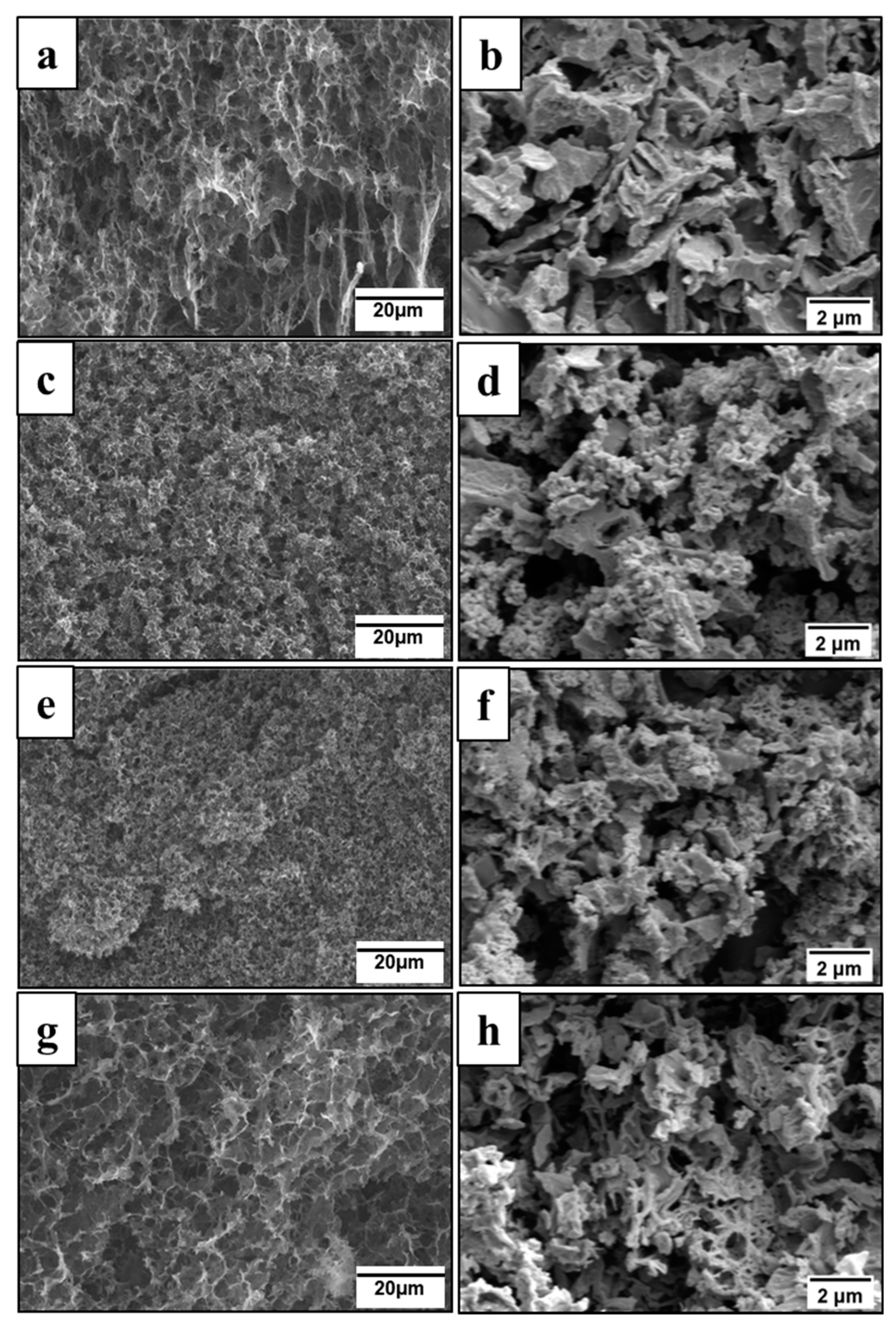 Polymers 12 00011 g003