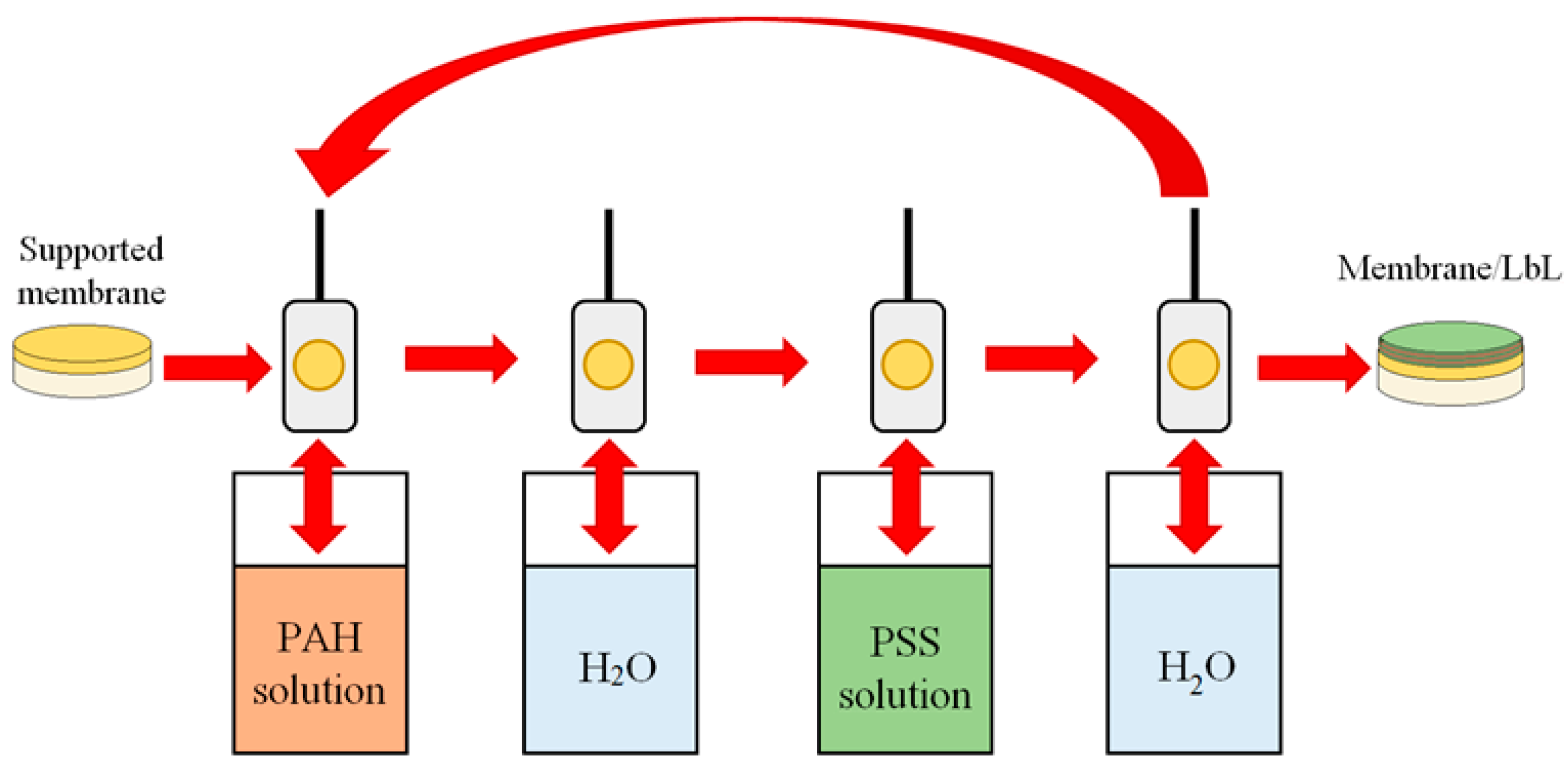 Polymers 12 00014 g001
