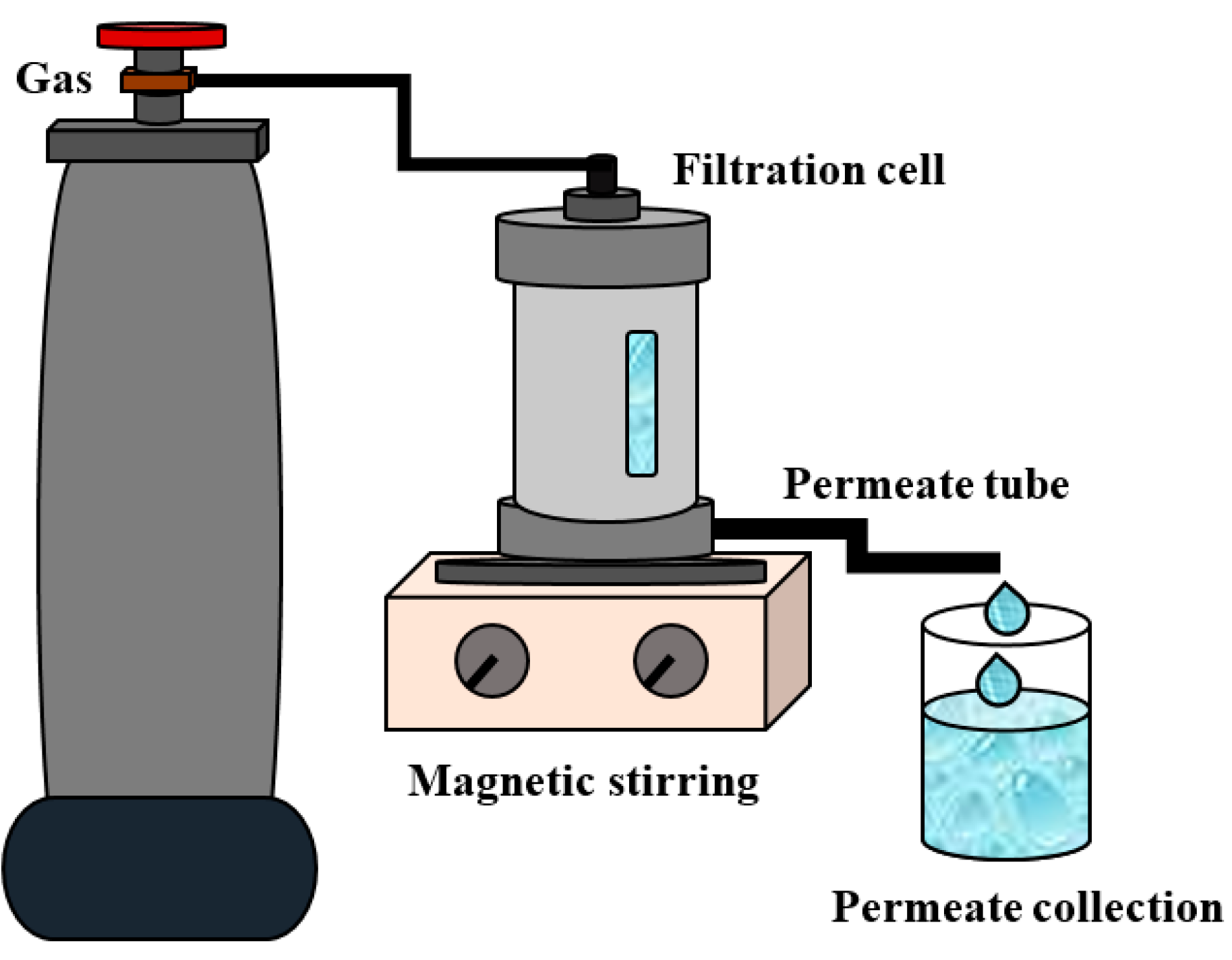 Polymers 12 00014 g002