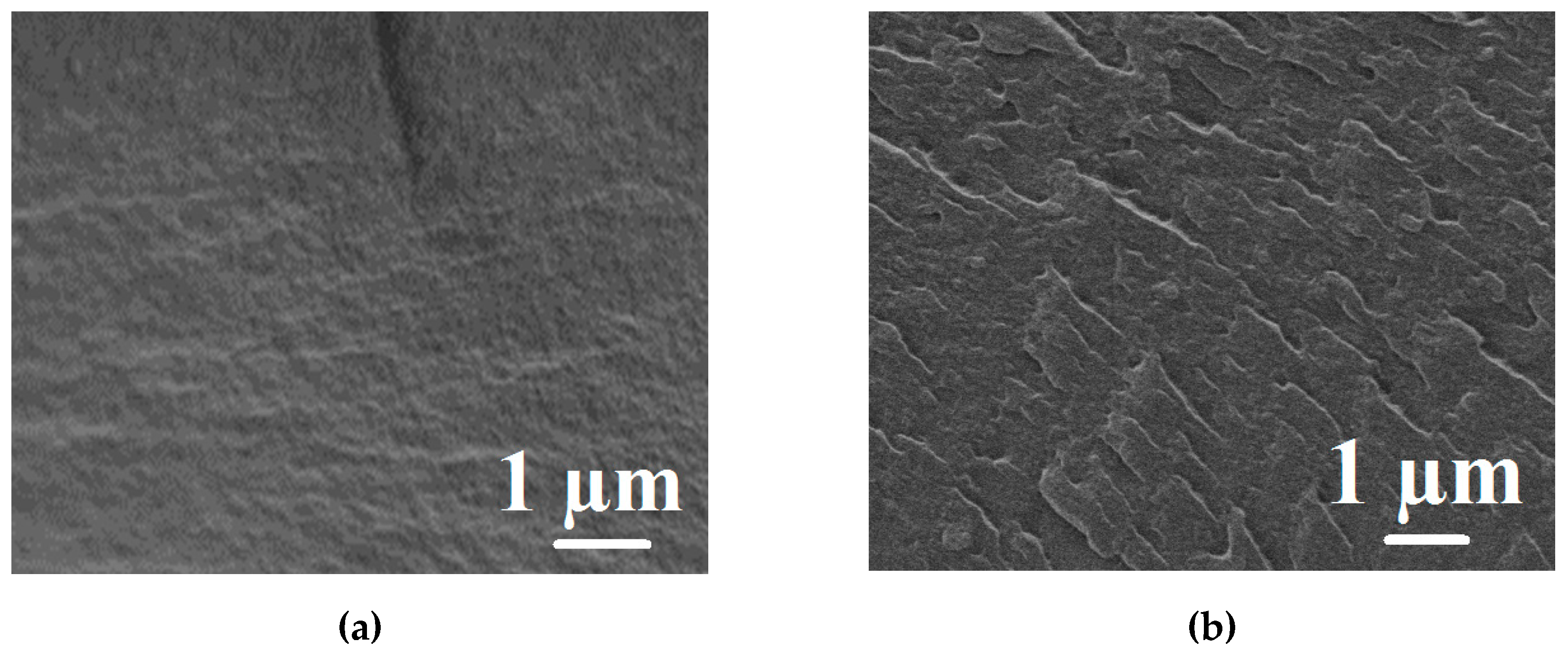 Polymers 12 00014 g004