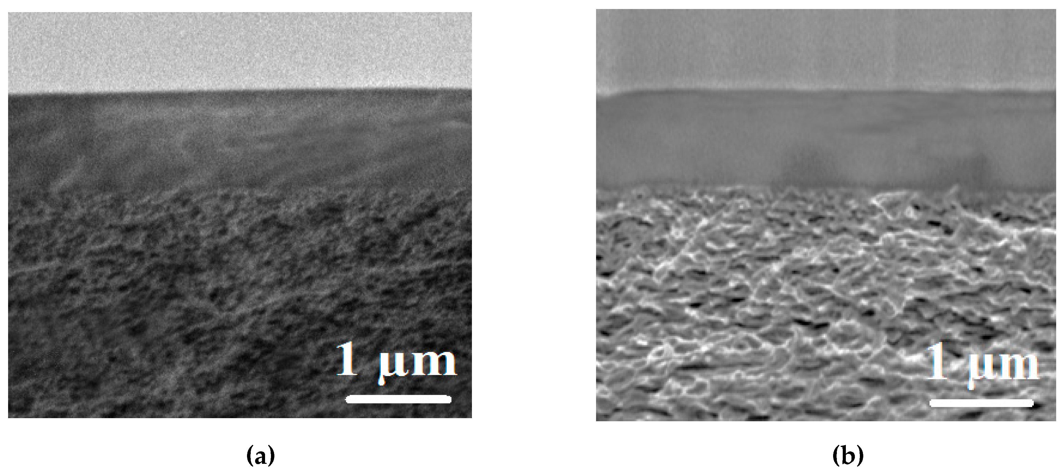 Polymers 12 00014 g006
